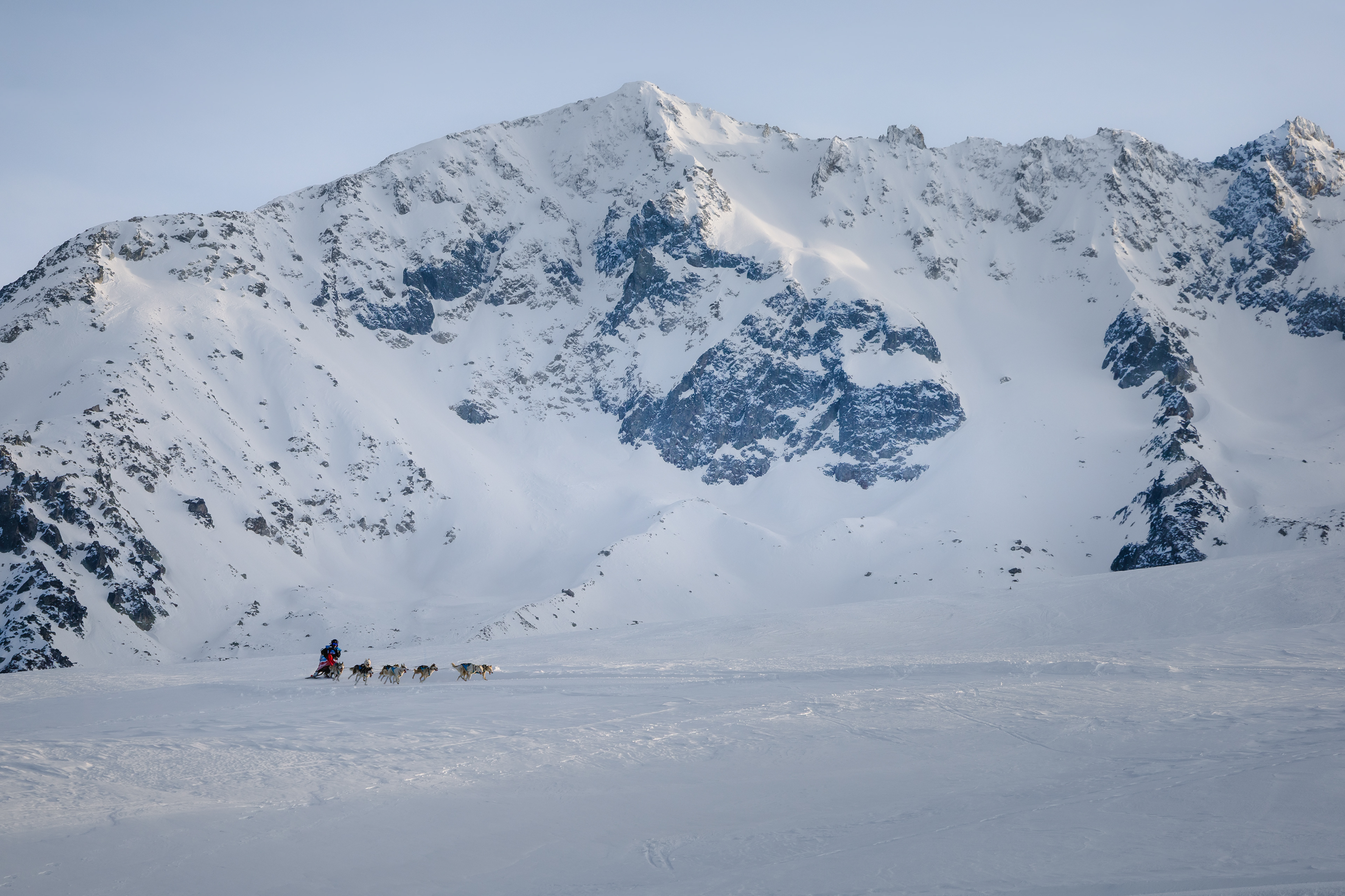 Musher en course - Les 7 Laux, France