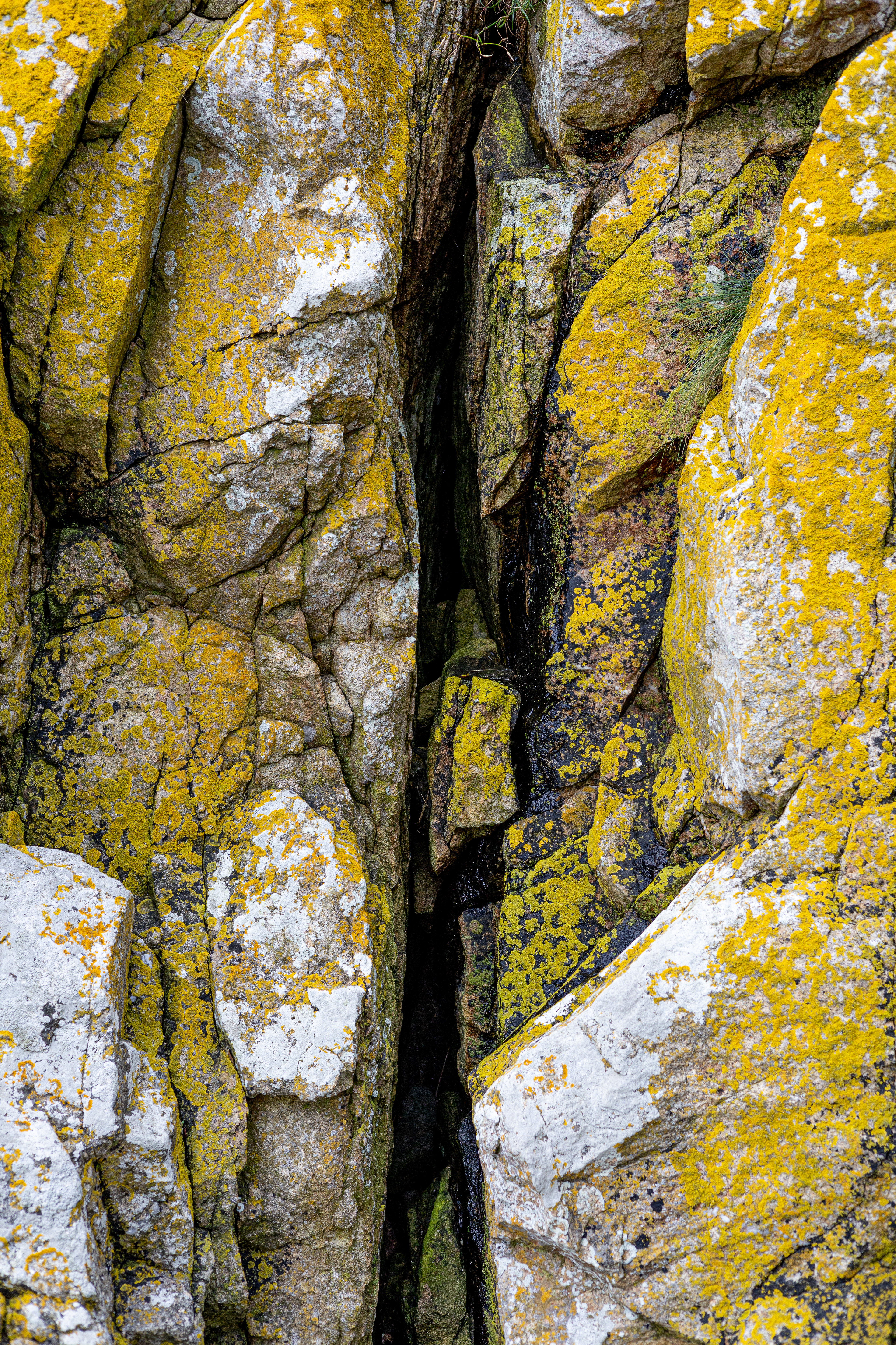 Mont-Saint-Michel - Manche, France