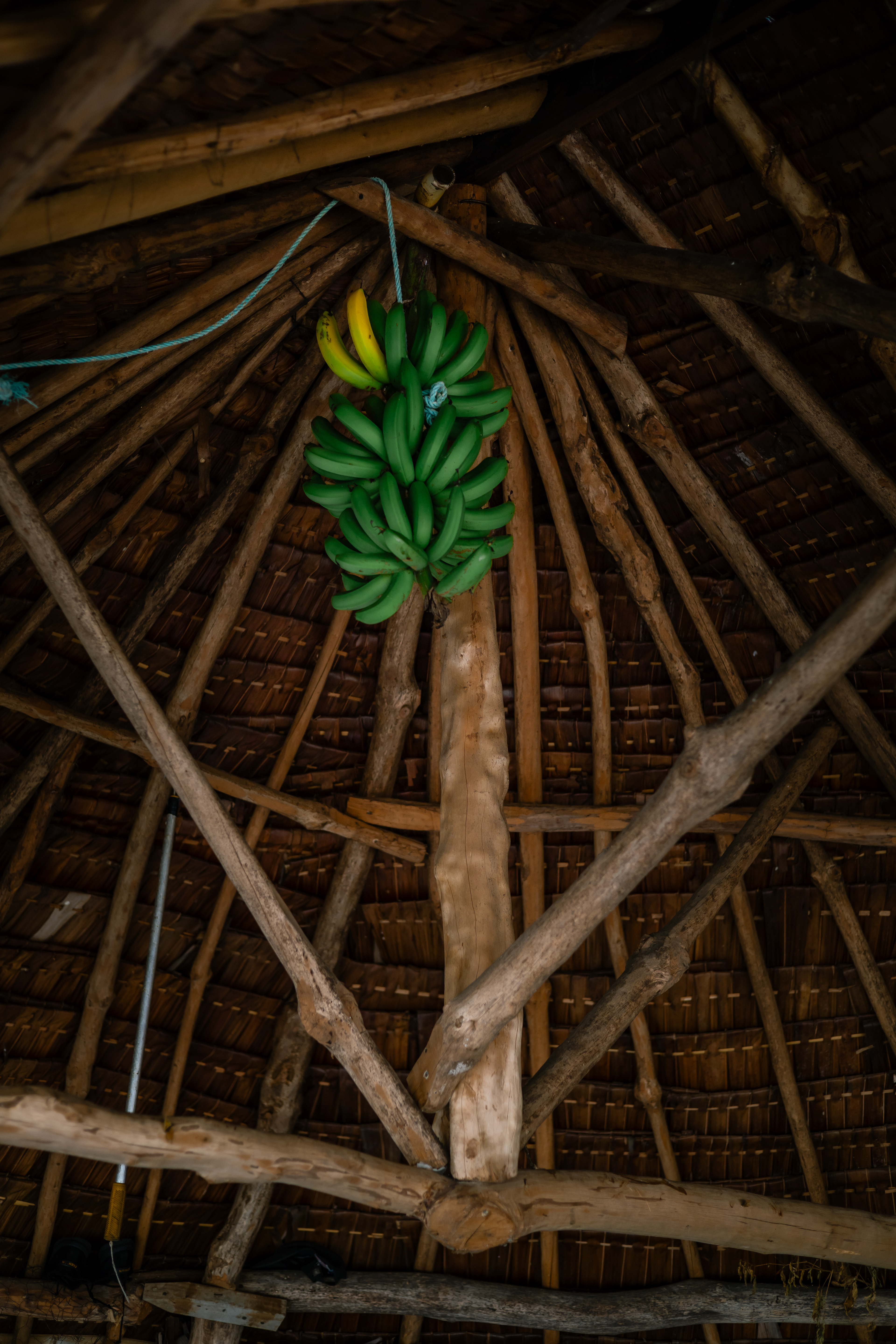 Toit en feuilles de palmier - Île de Pélé, Vanuatu