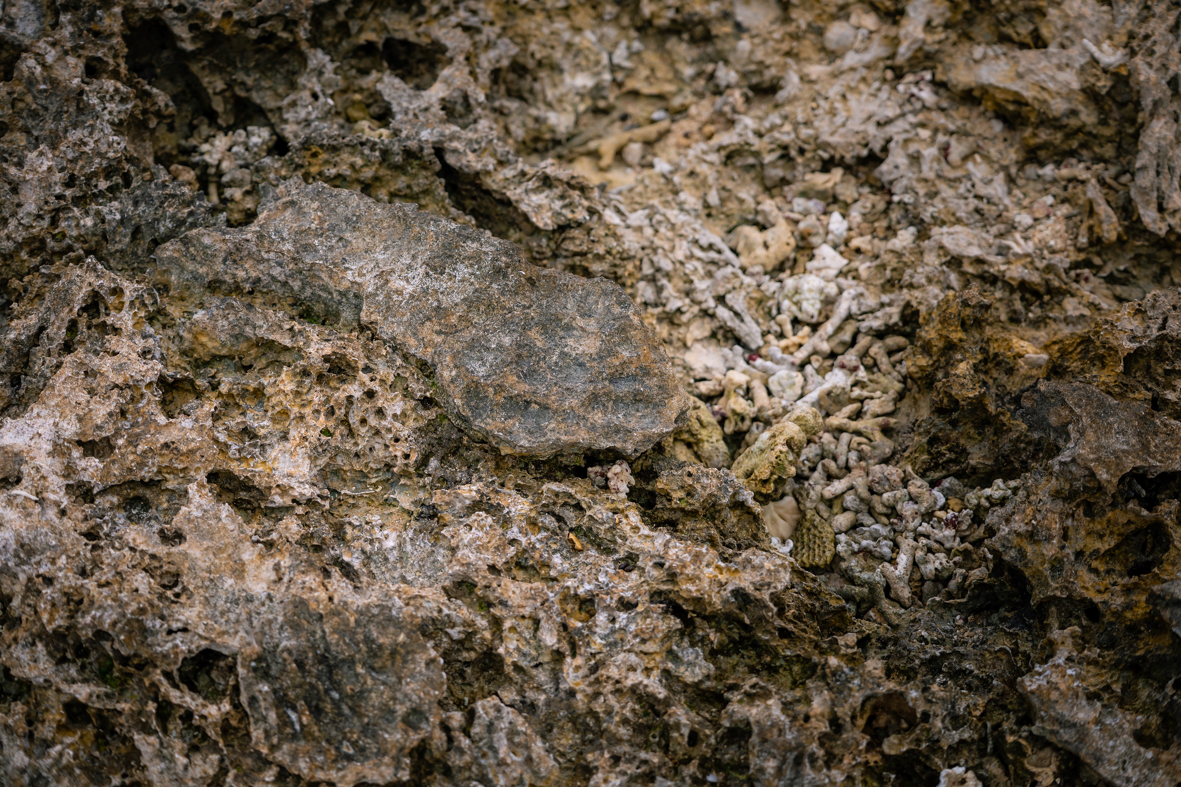 Récifs surélevés - Île d'Éfaté, Vanuatu