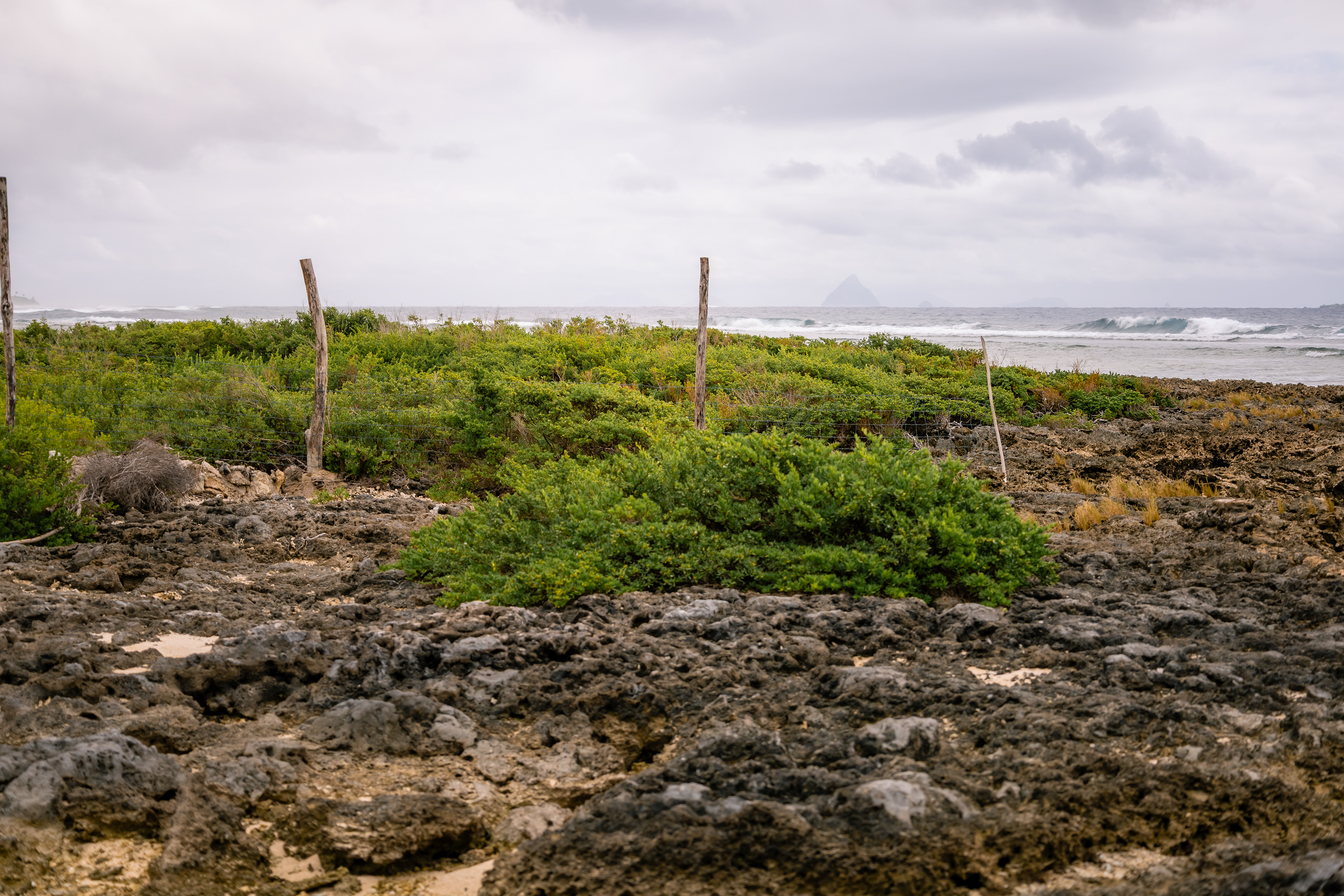 Récifs surélevés - Île d'Éfaté, Vanuatu