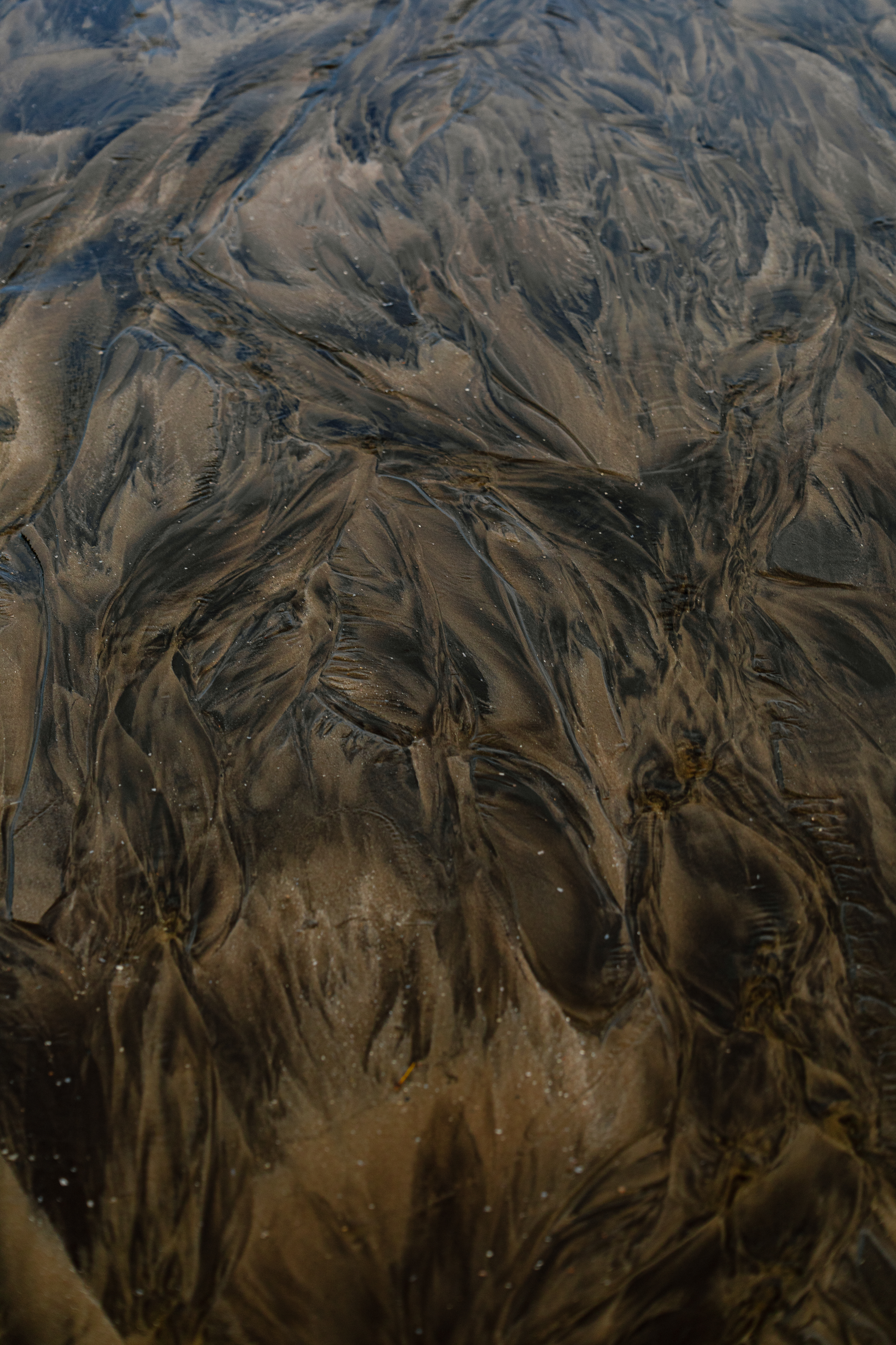 Bako National Park, Bornéo