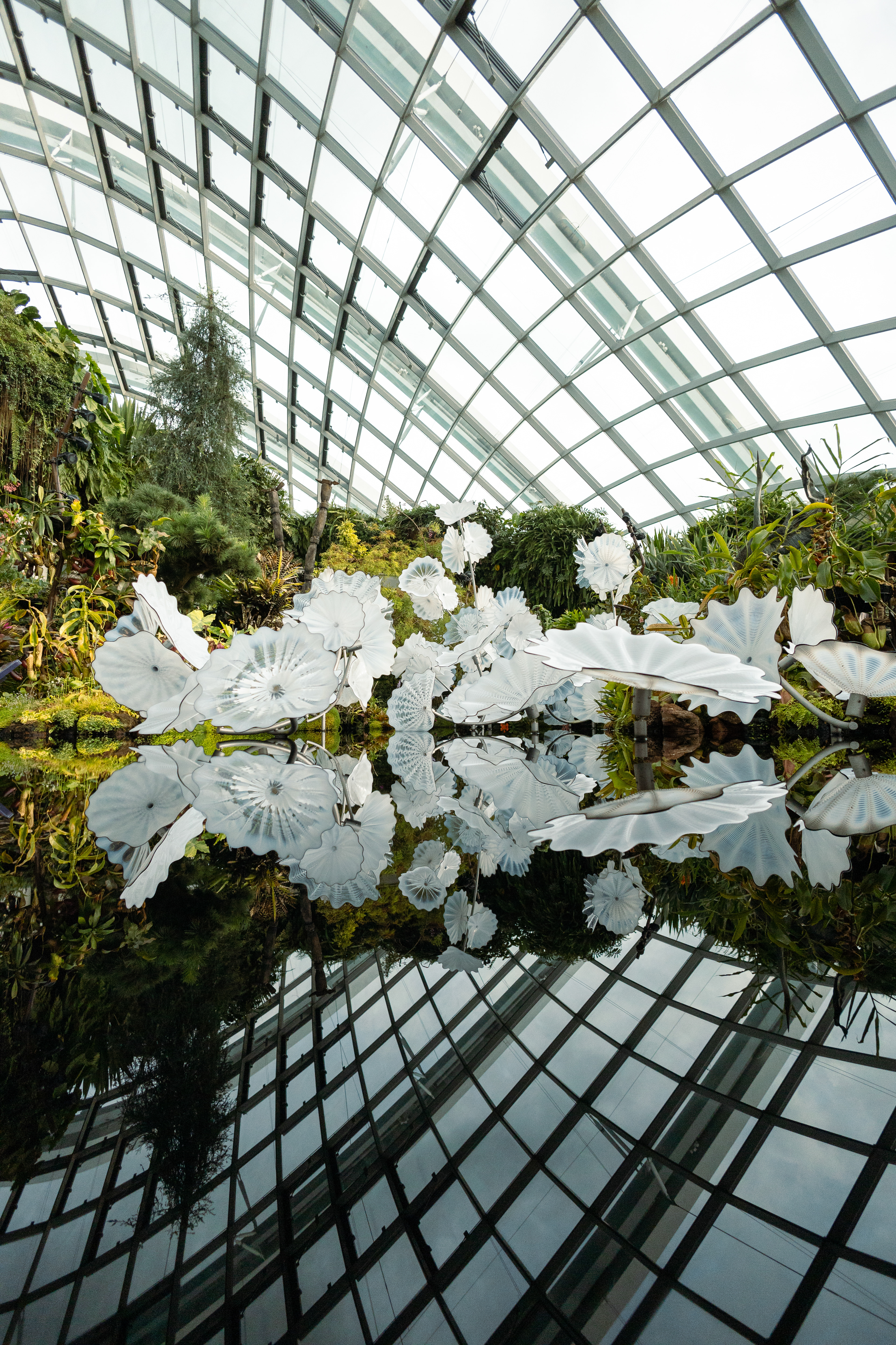 Gardens by the Bay - Singapour