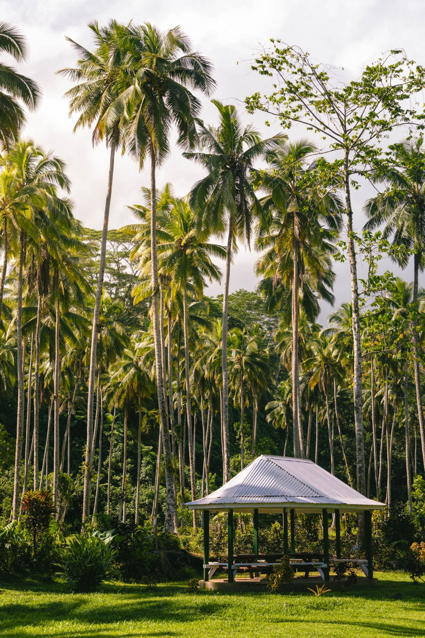 Fale, maison traditionnelle - Savai'i, Samoa