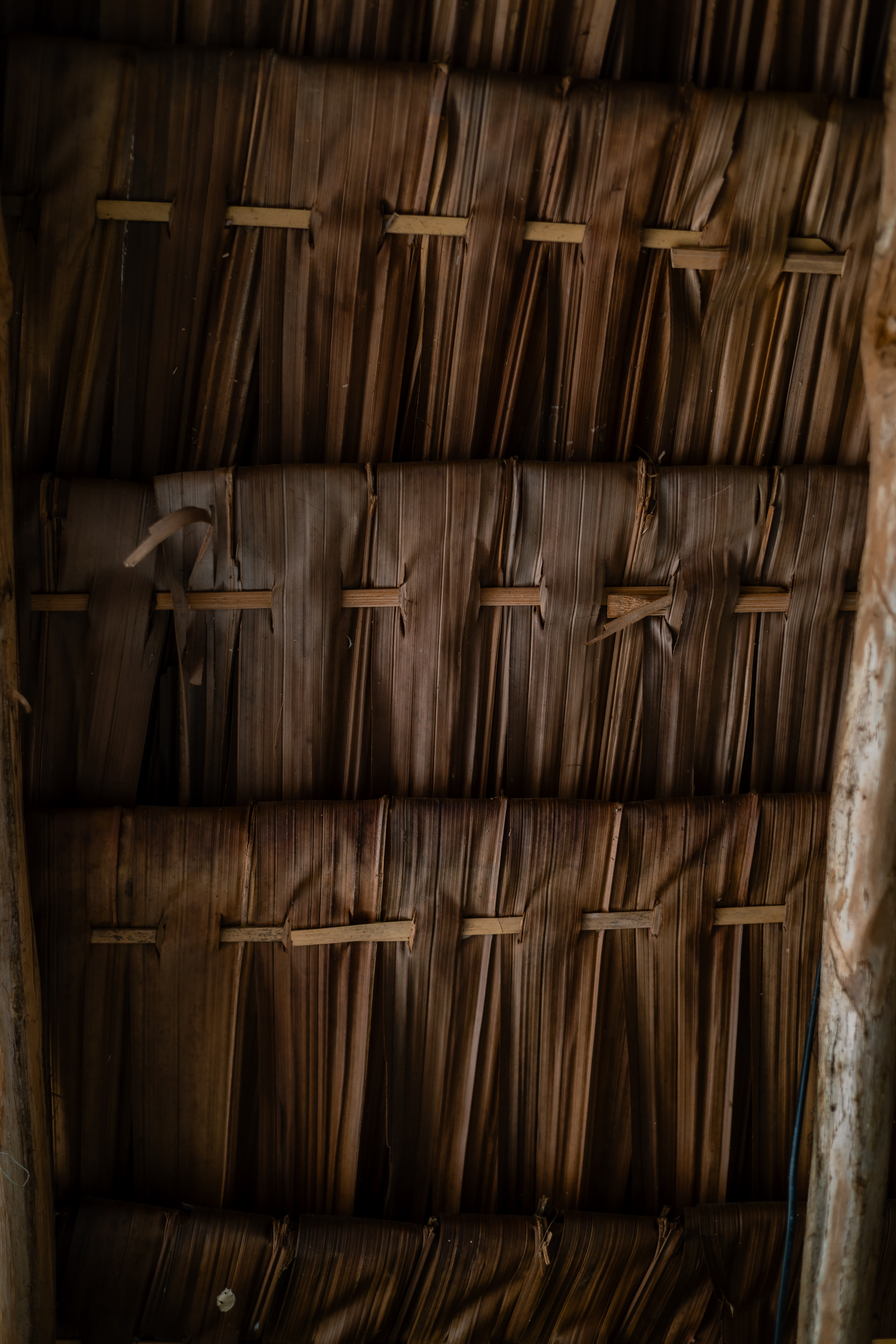 Toit en feuilles de palmier - Île de Pélé, Vanuatu