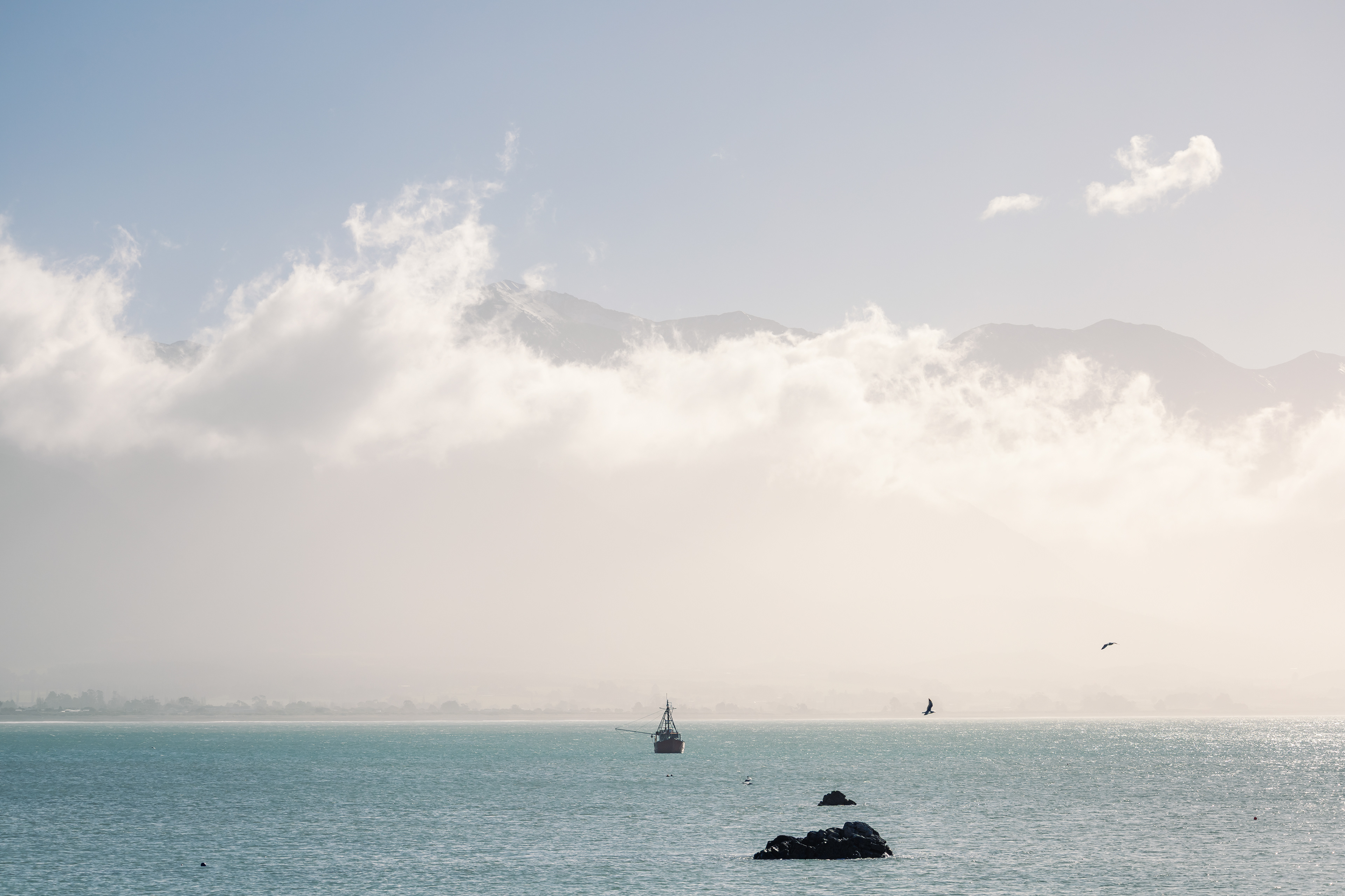 Manakau depuis Kaikōura - Canterbury, Nouvelle-Zélande