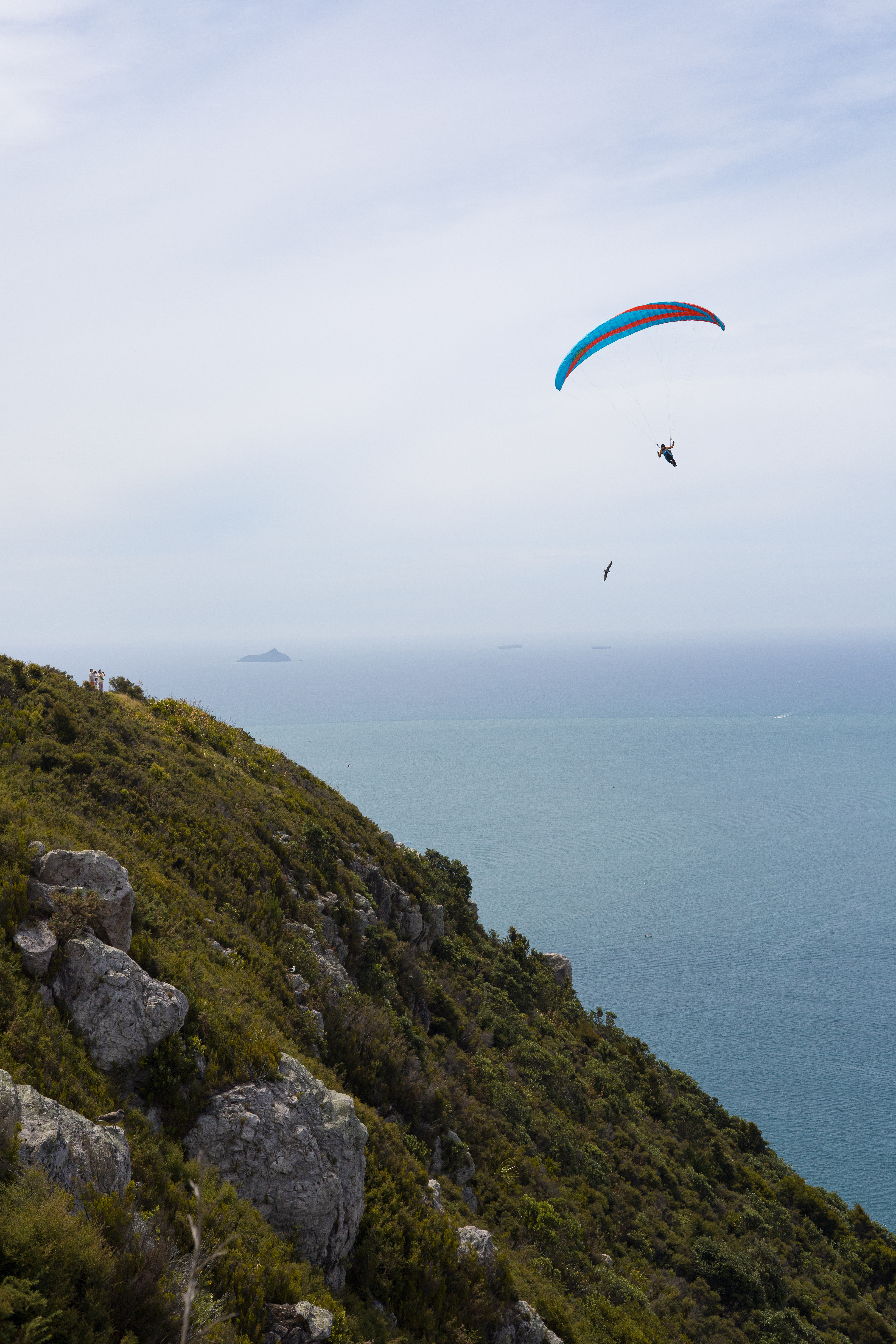 Mont Maunganui, Tauranga, Nouvelle-Zélande