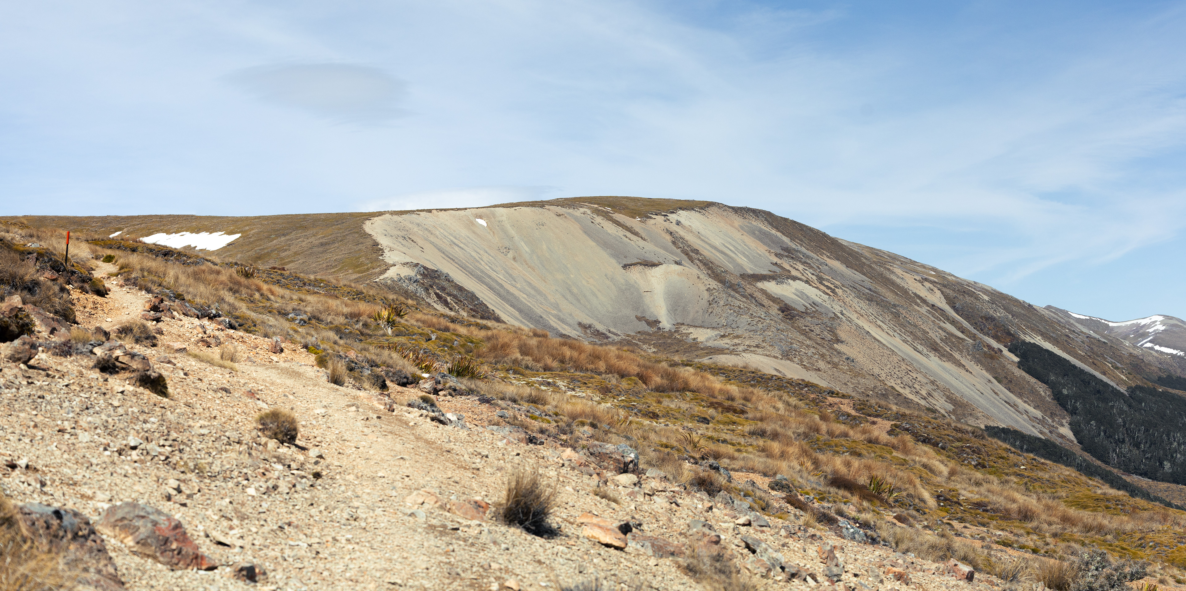 Angelus Hutt, Nouvelle-Zélande
