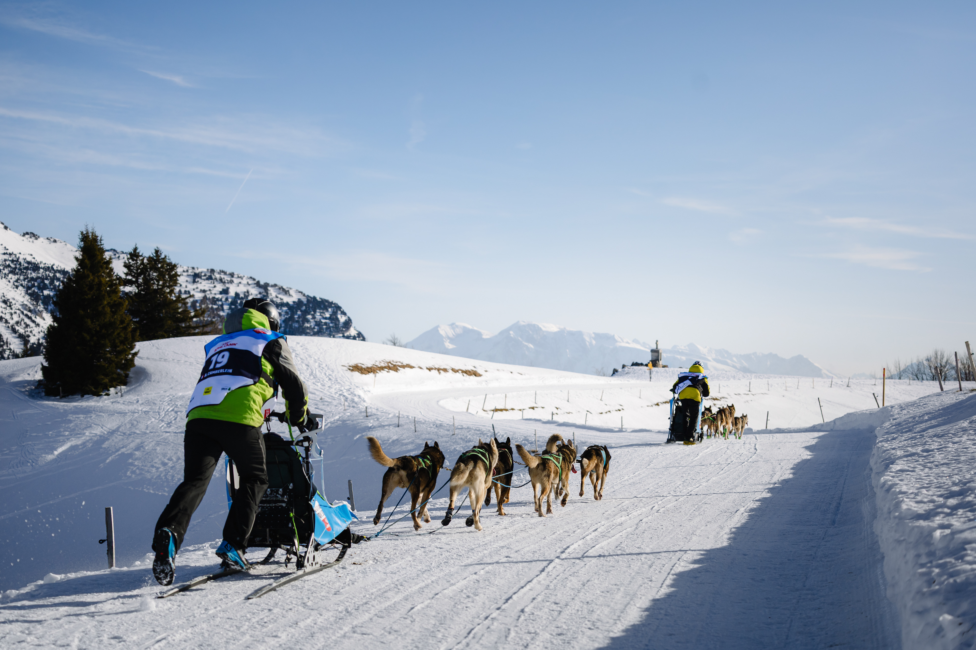 Mushers en course - Col de Porte, France