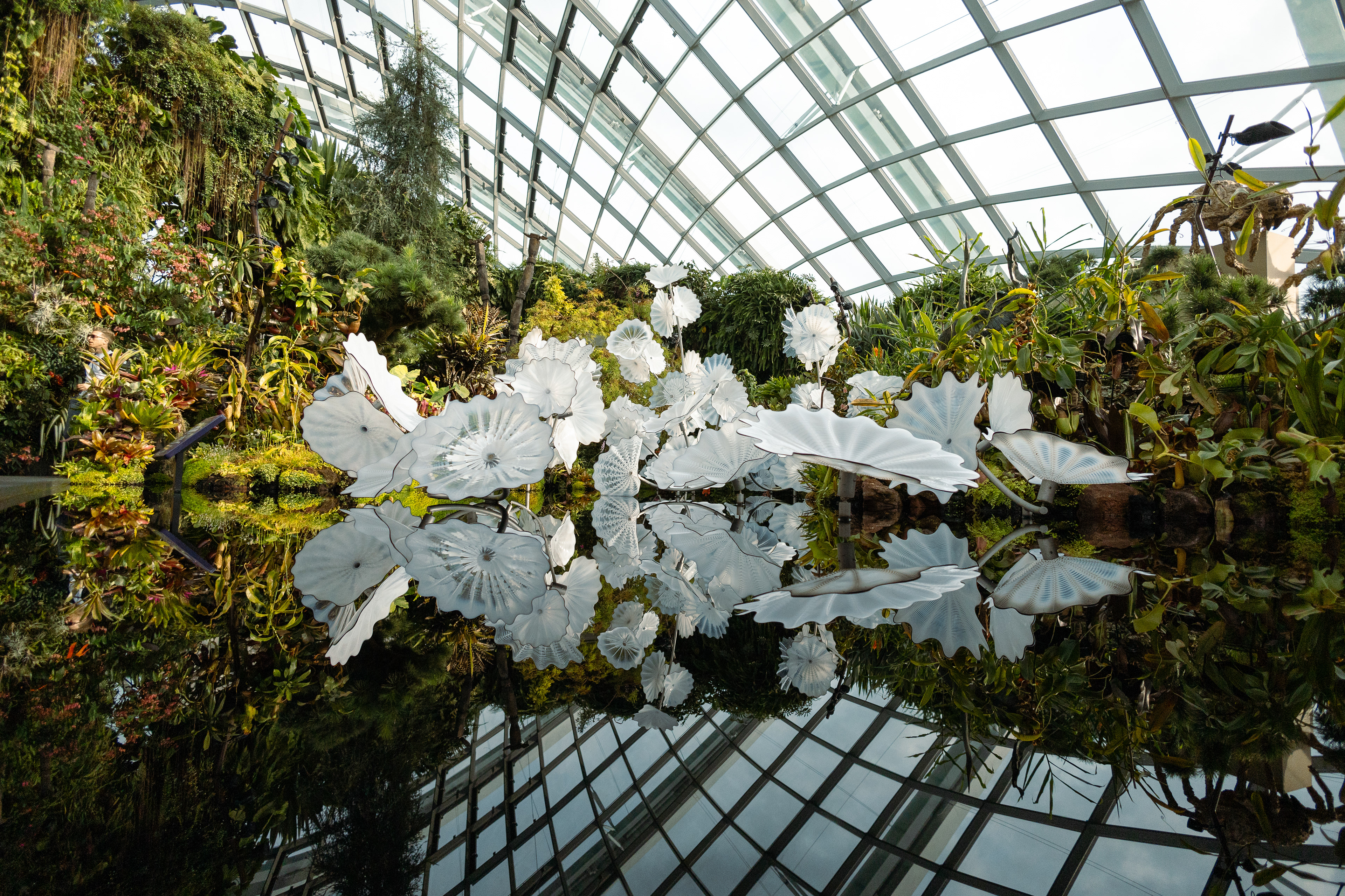 Gardens by the Bay - Singapour