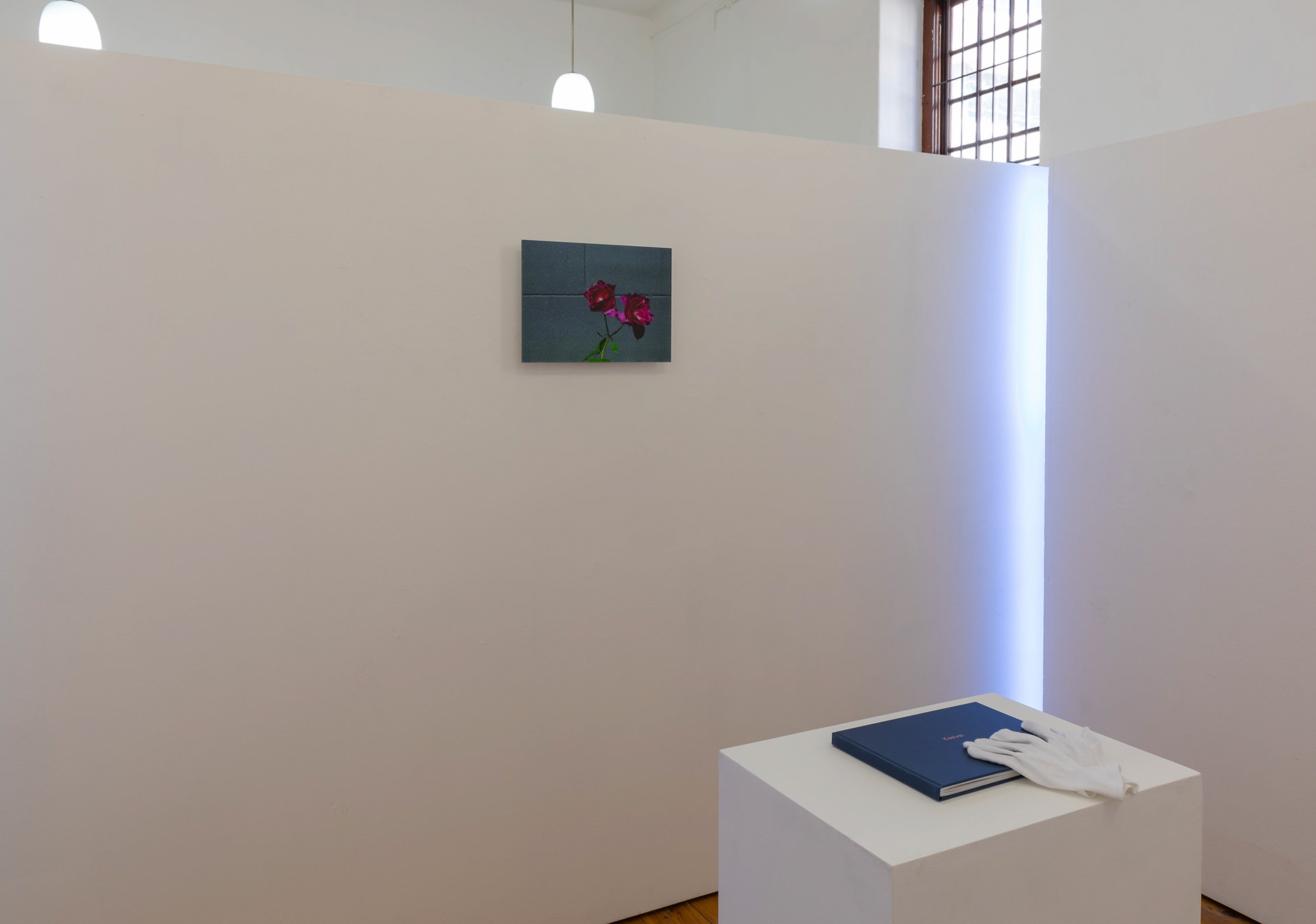 Exhibition details.