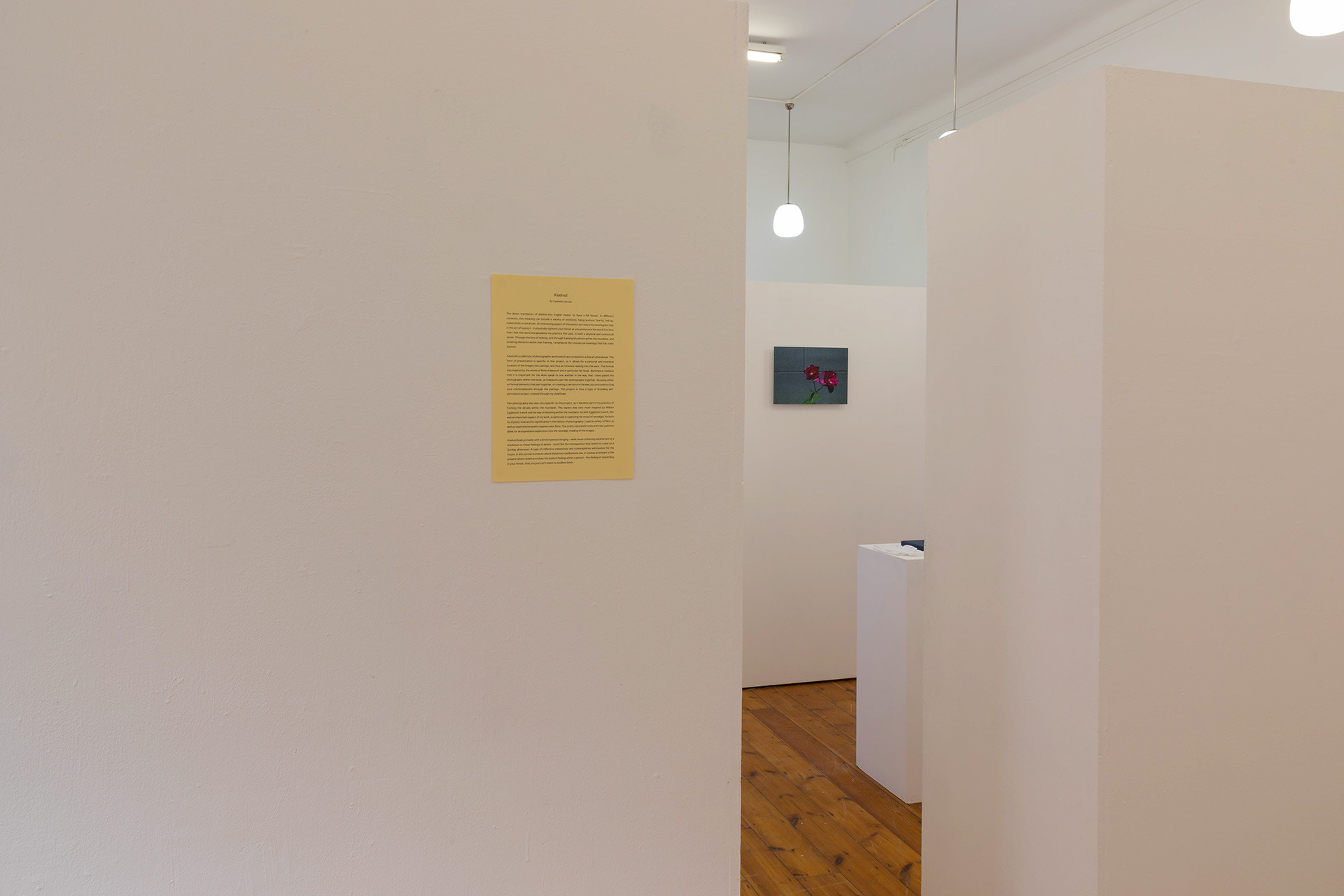 Exhibition details.