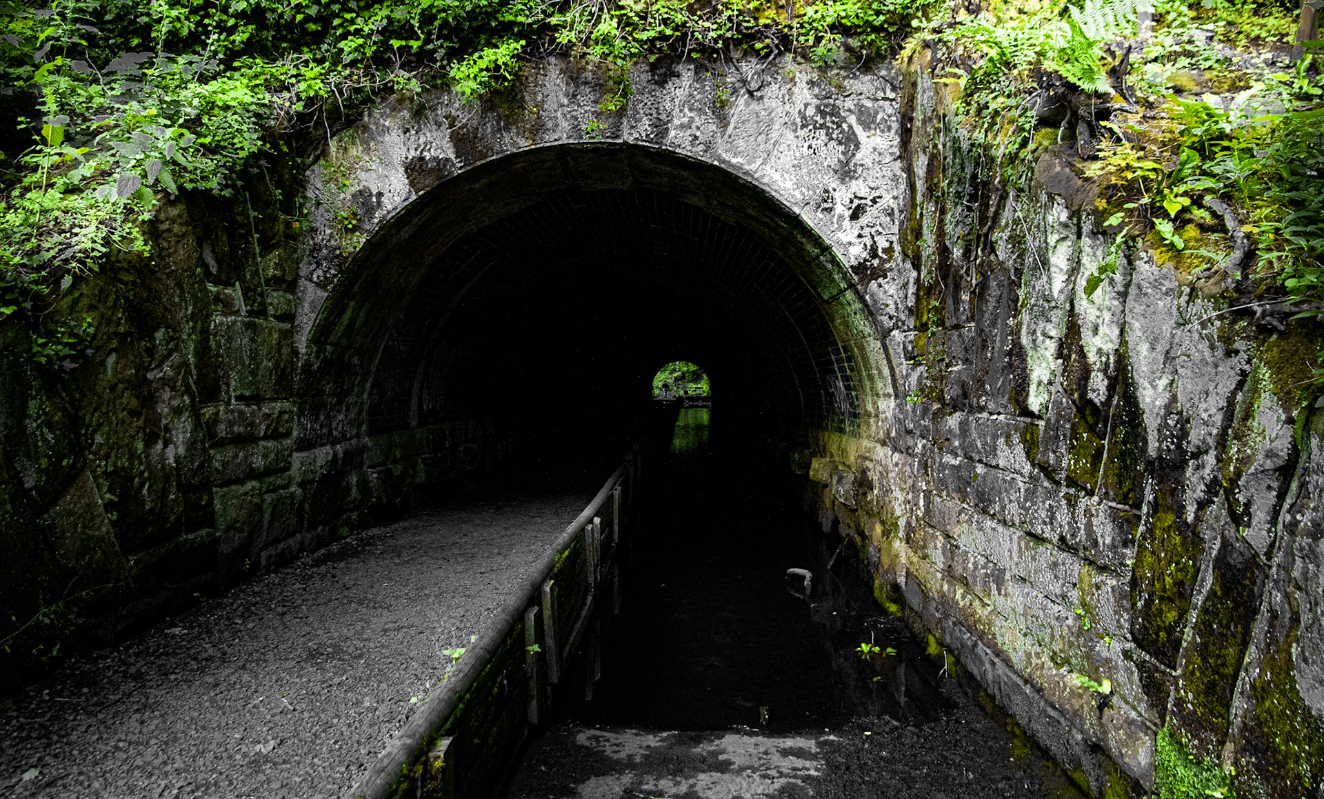 Dibbinsdale Nature Reserve