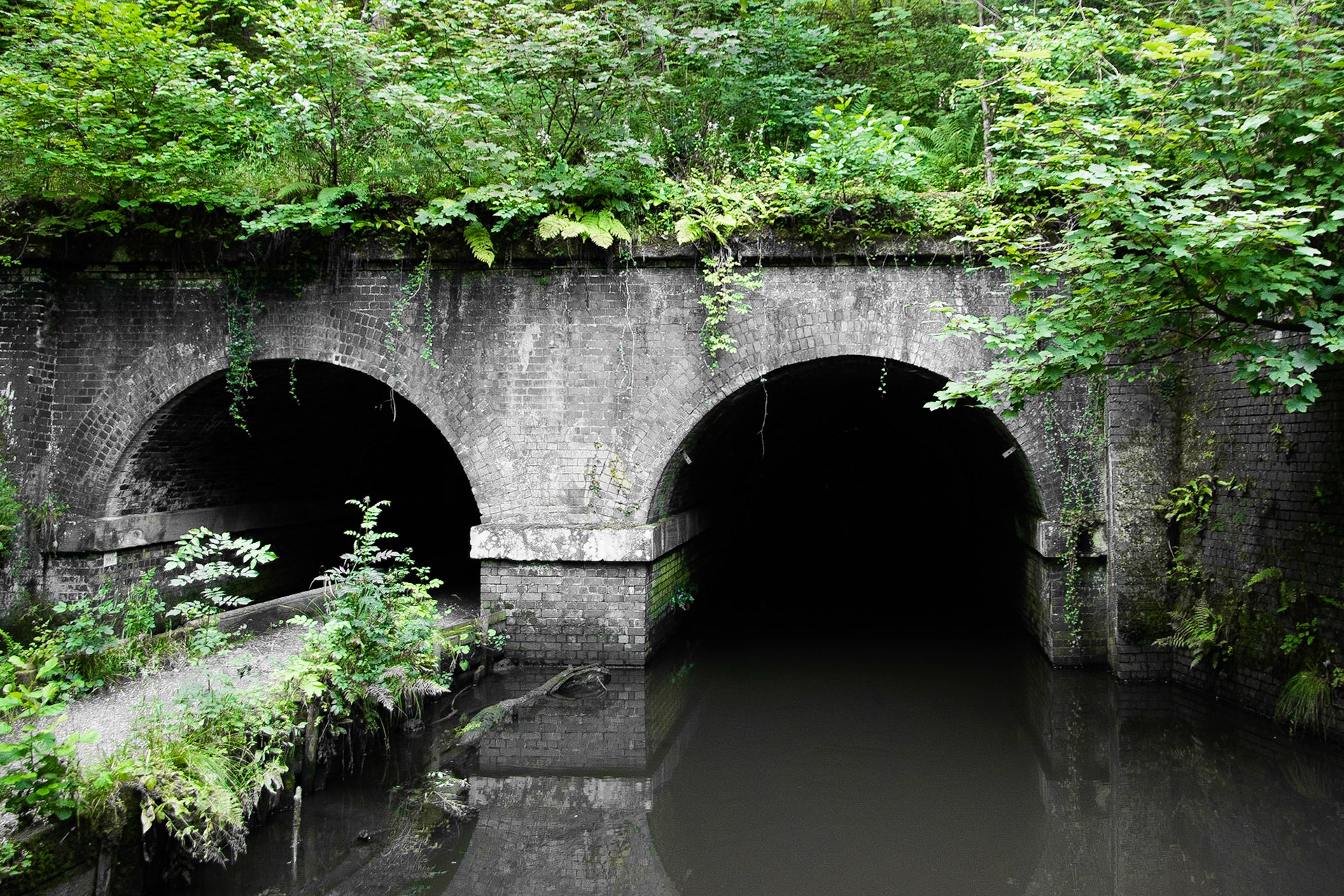 Dibbinsdale Nature Reserve