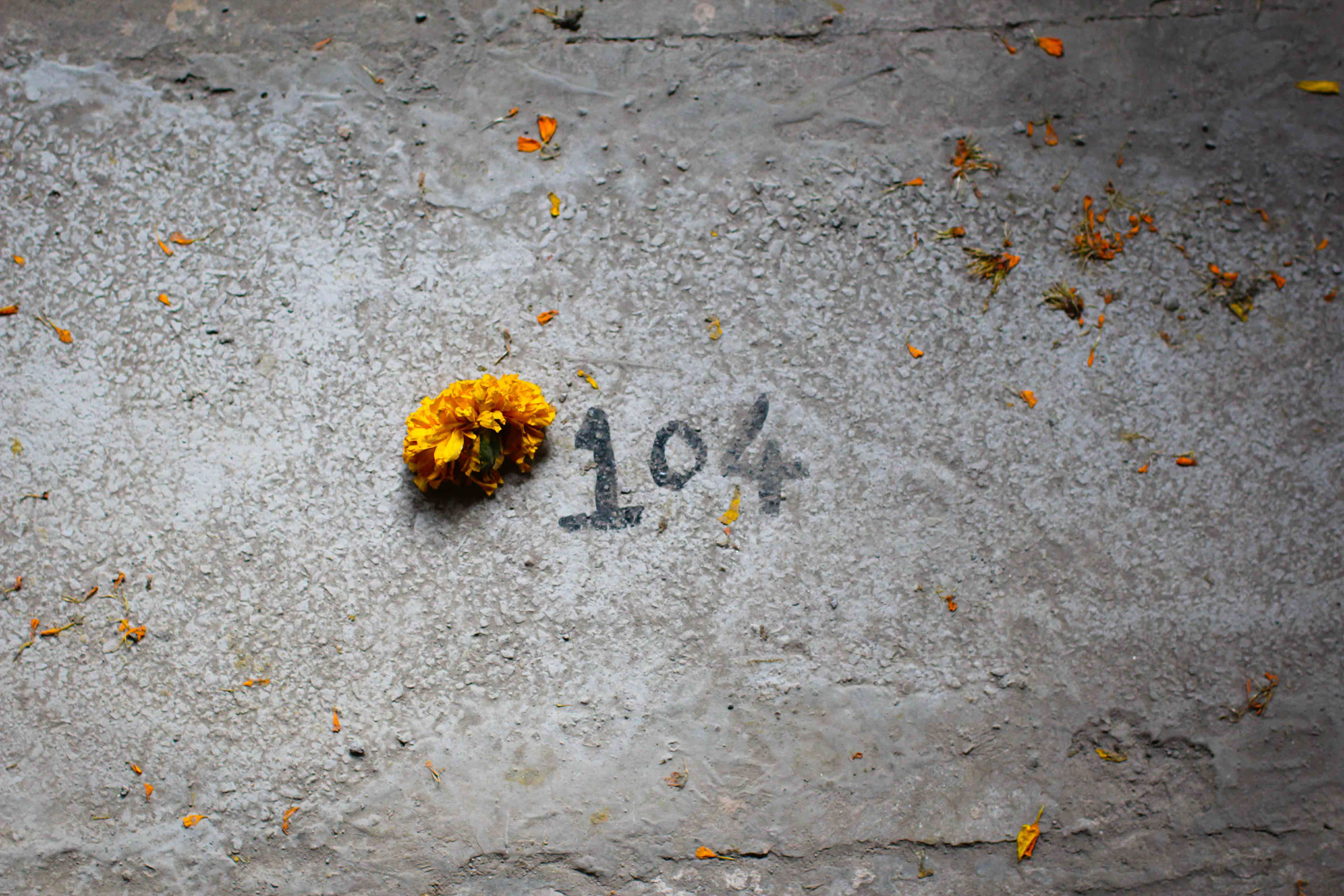 Just a flower and number
