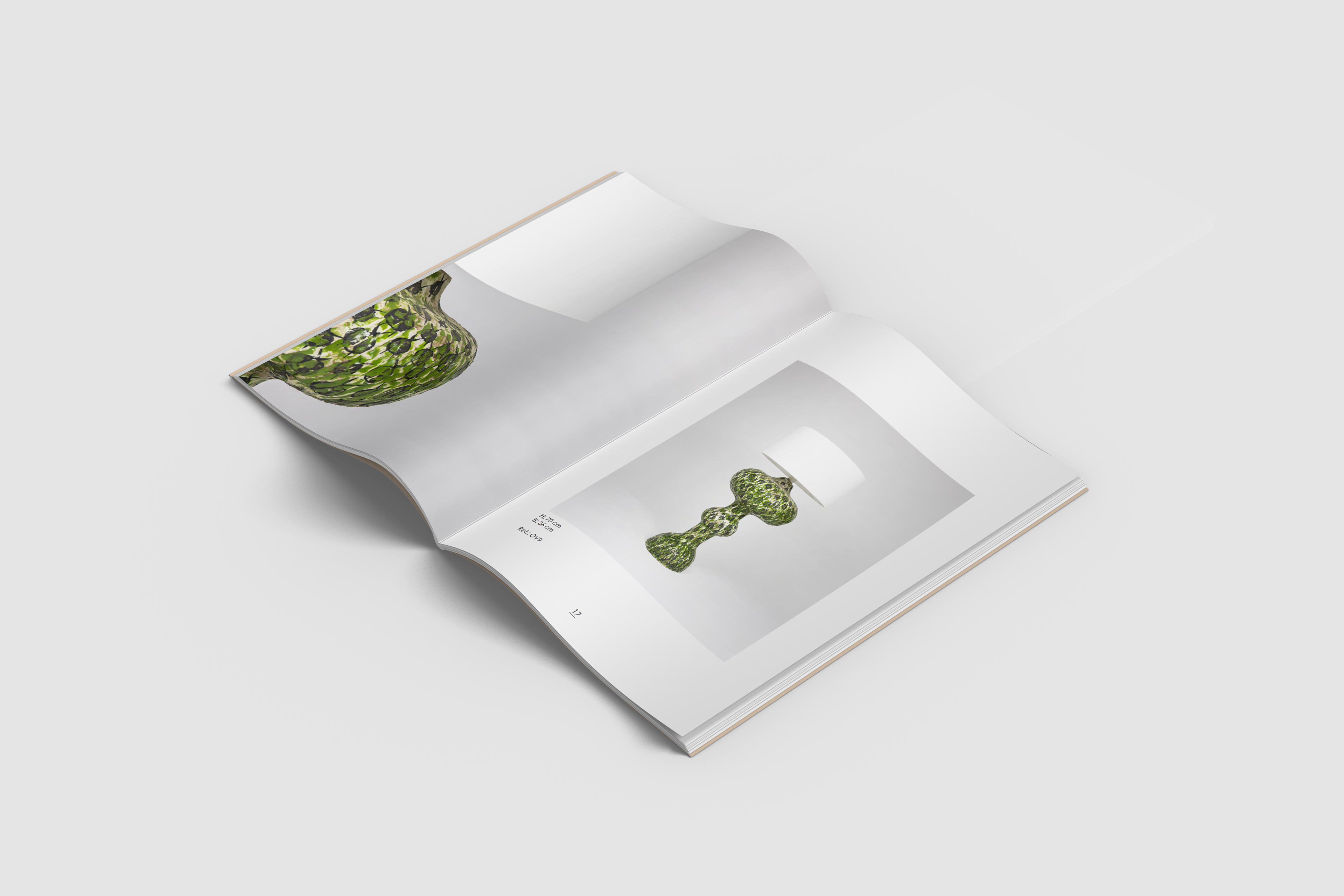 Kommunikationsdesign og lookbook for Ole Victor
