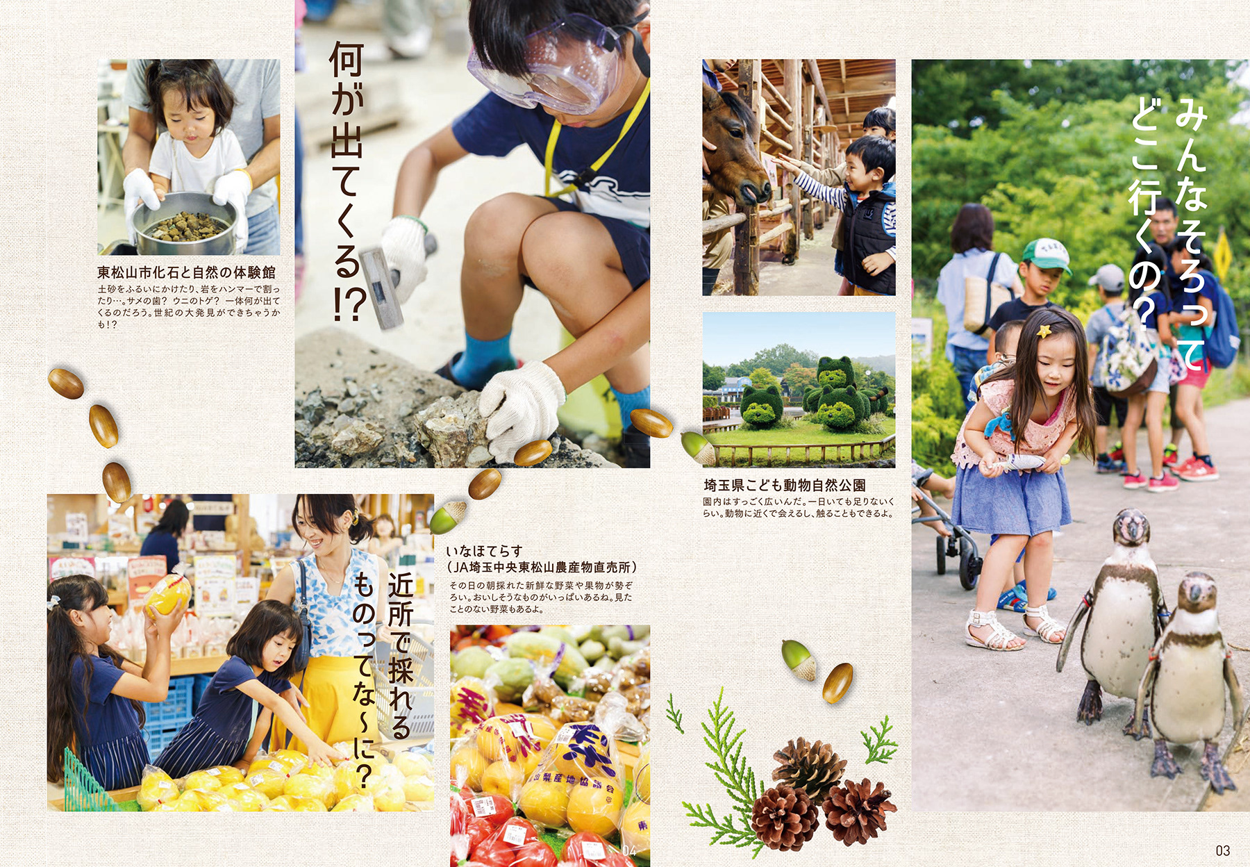 東松山ライフ 2017