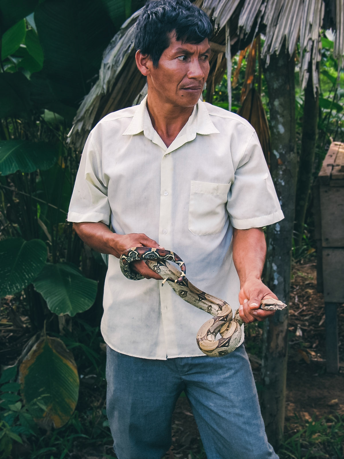 Domador de serpientes