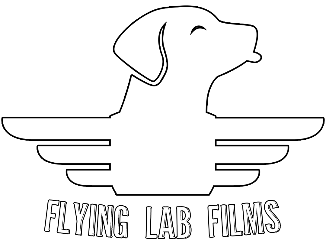 Flying Lab Films