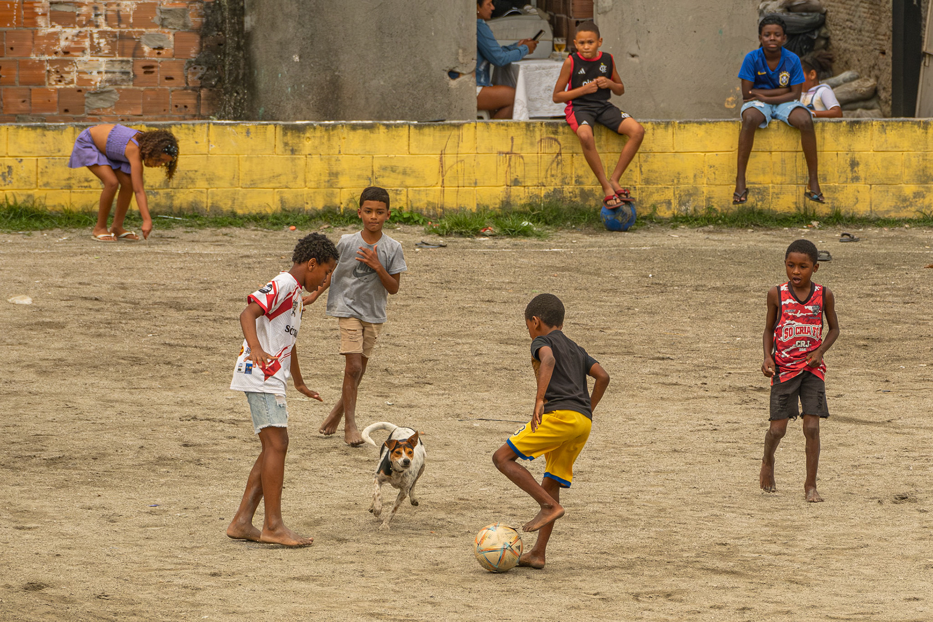 O DOG NO JOGO