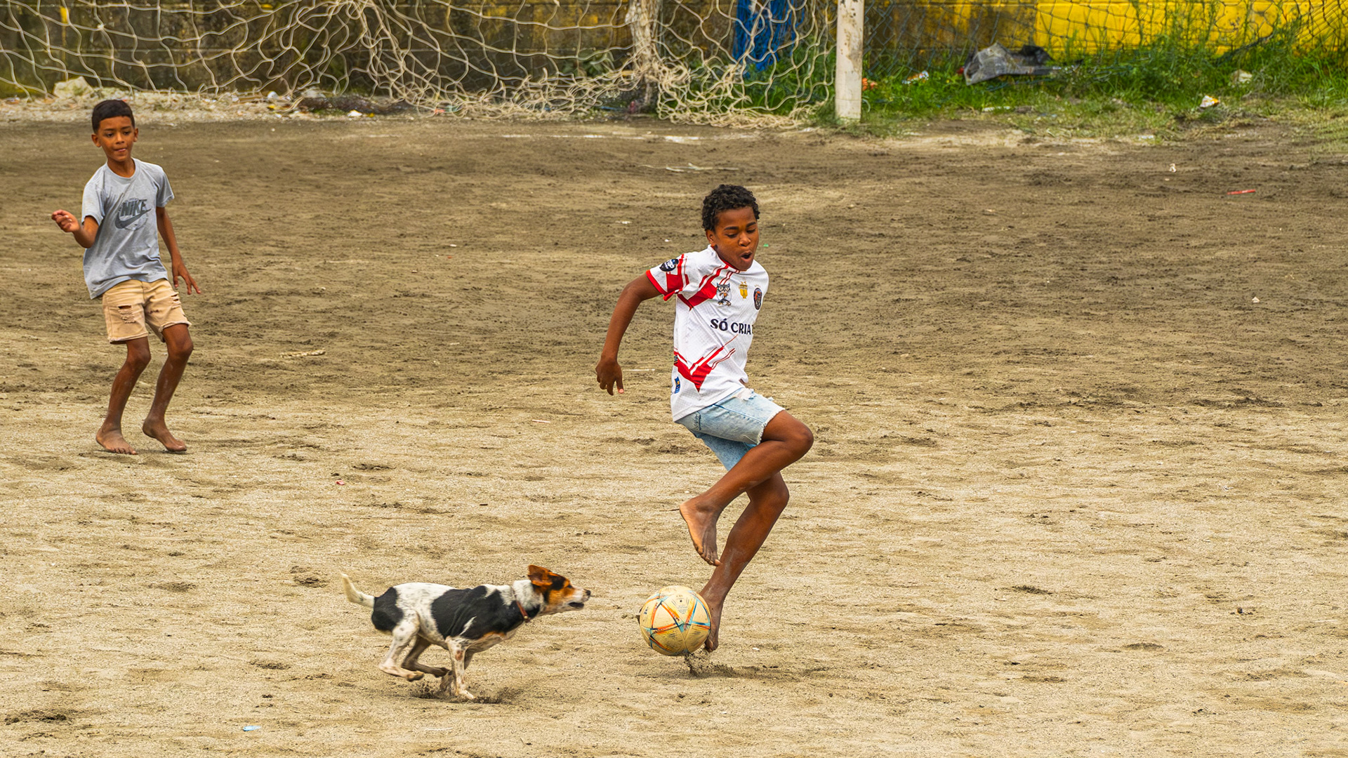 O DOG NO JOGO