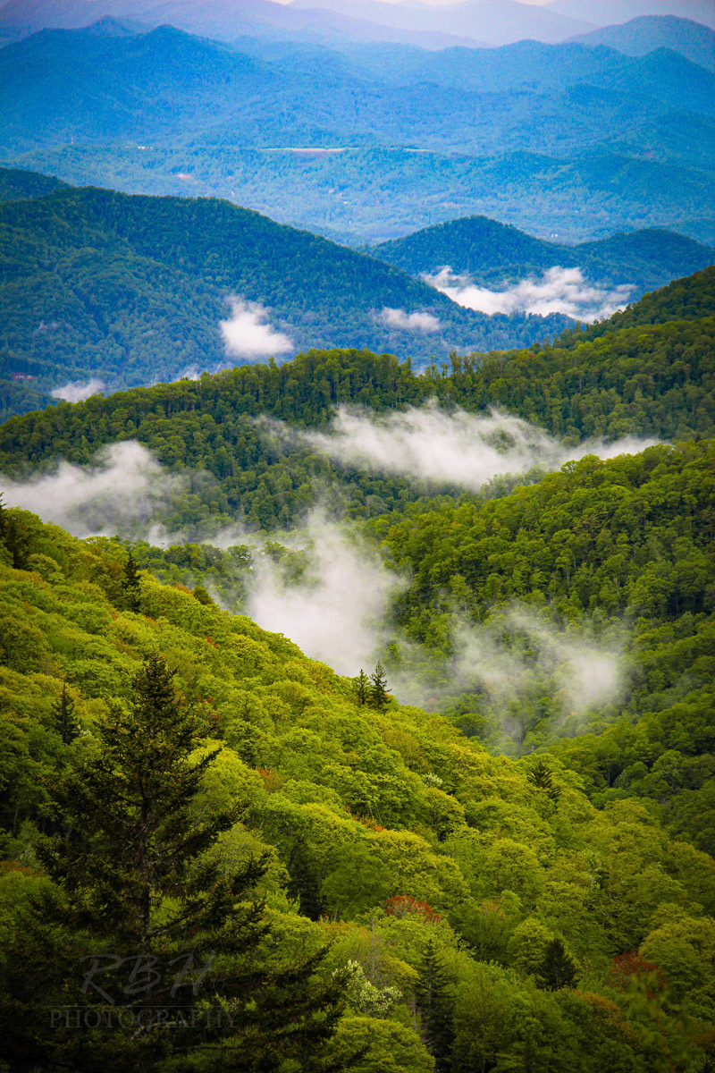 smokey-mountains