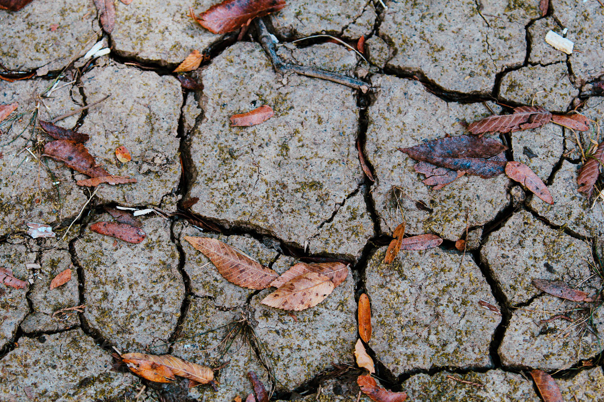cracked-earth