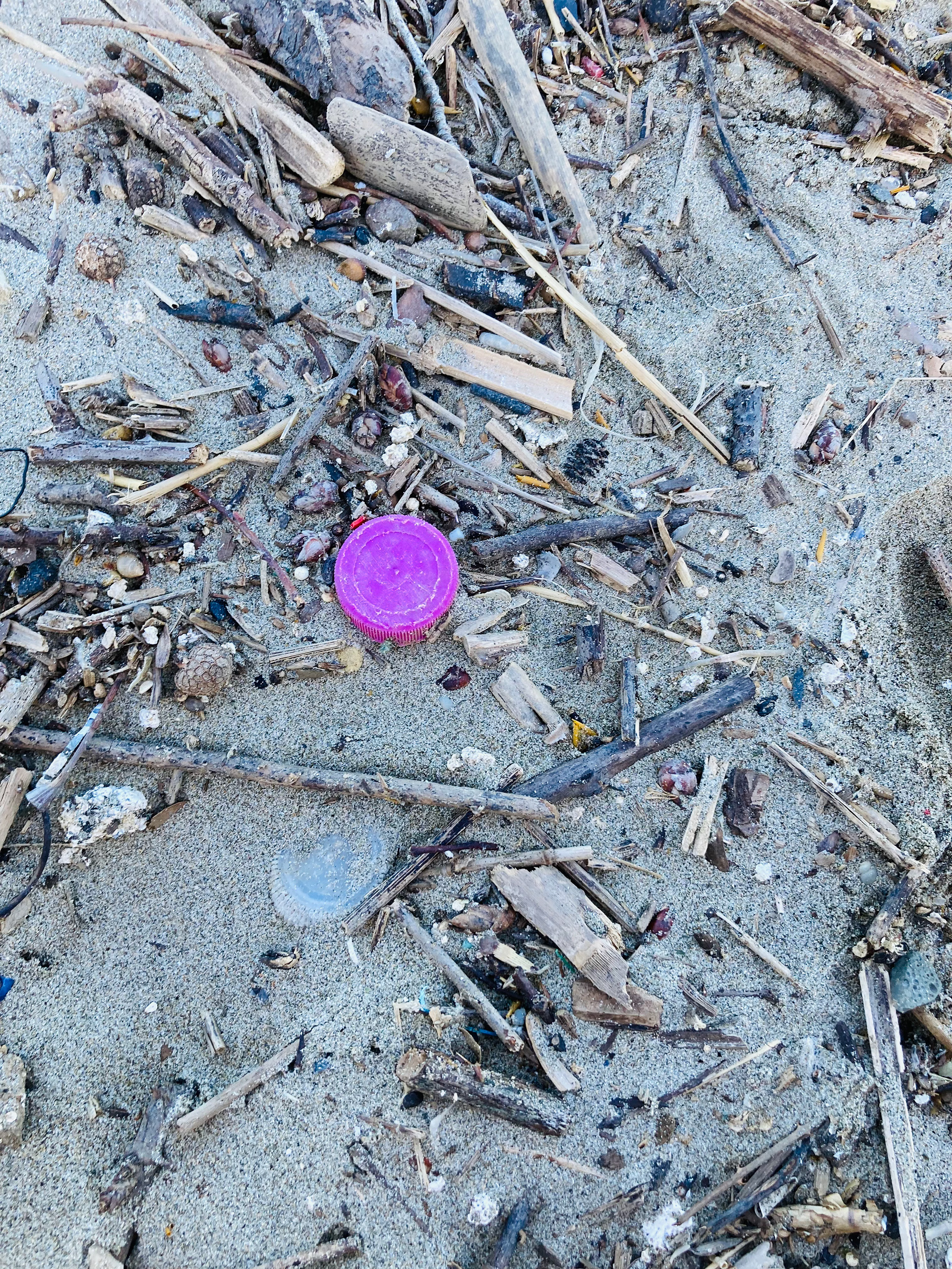 Bottle caps in Fiumicino beach
