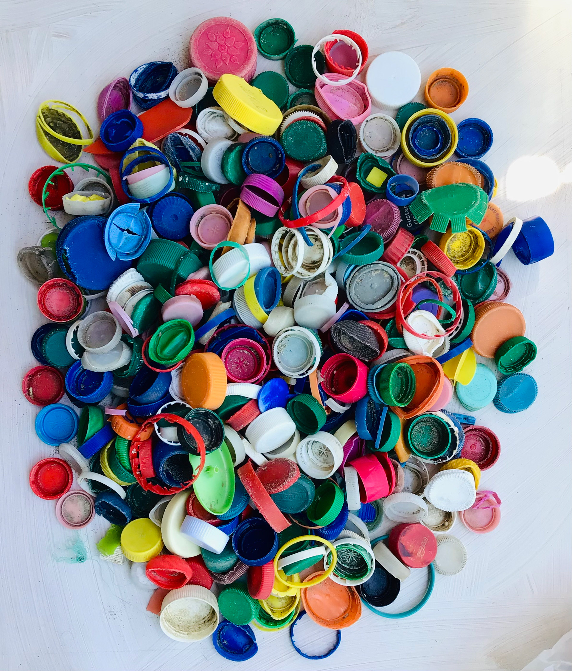 Bottle caps collected in 3 hours at Fiumicino beach.April 2024