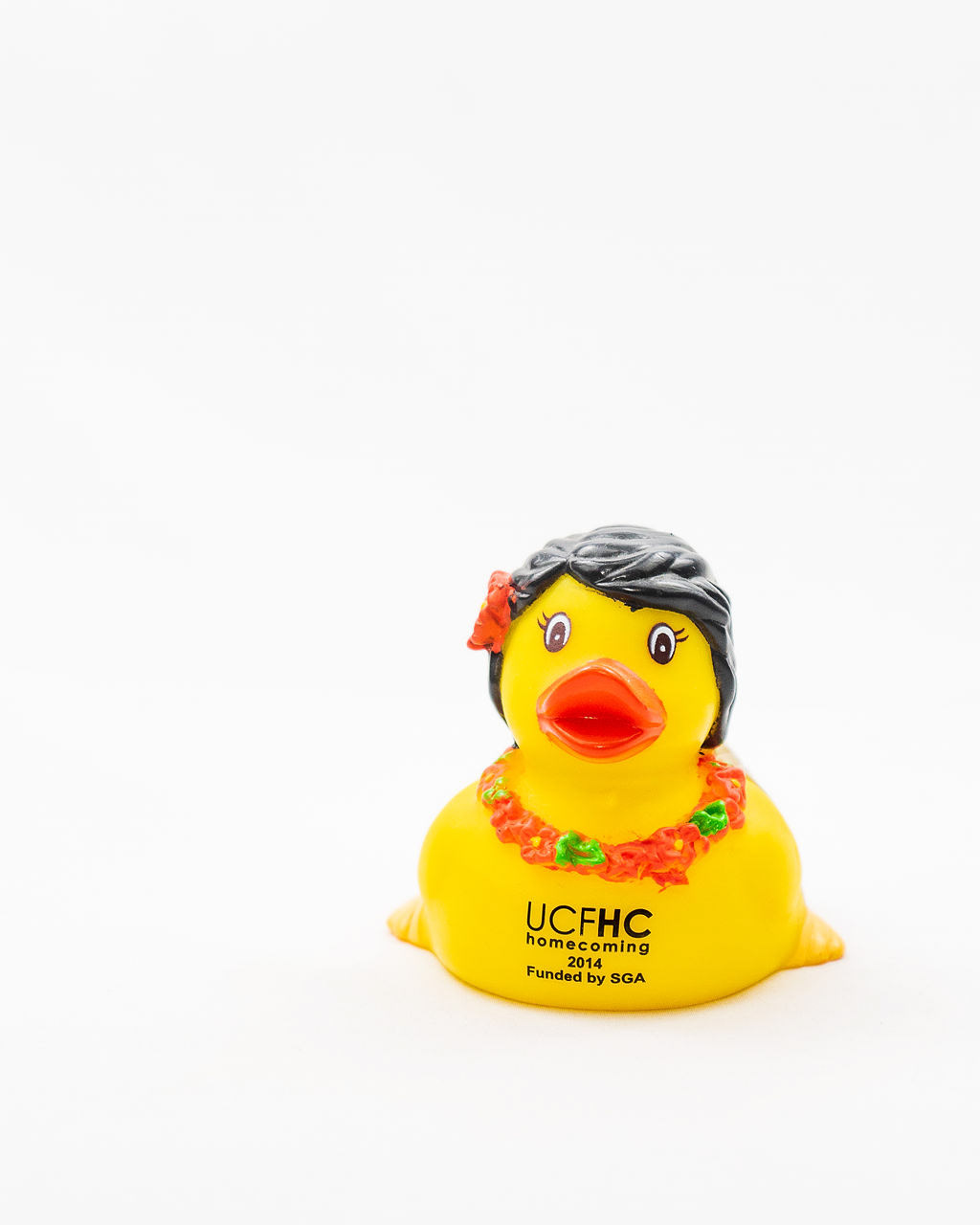 2014 UCF Spirit Splash Duck