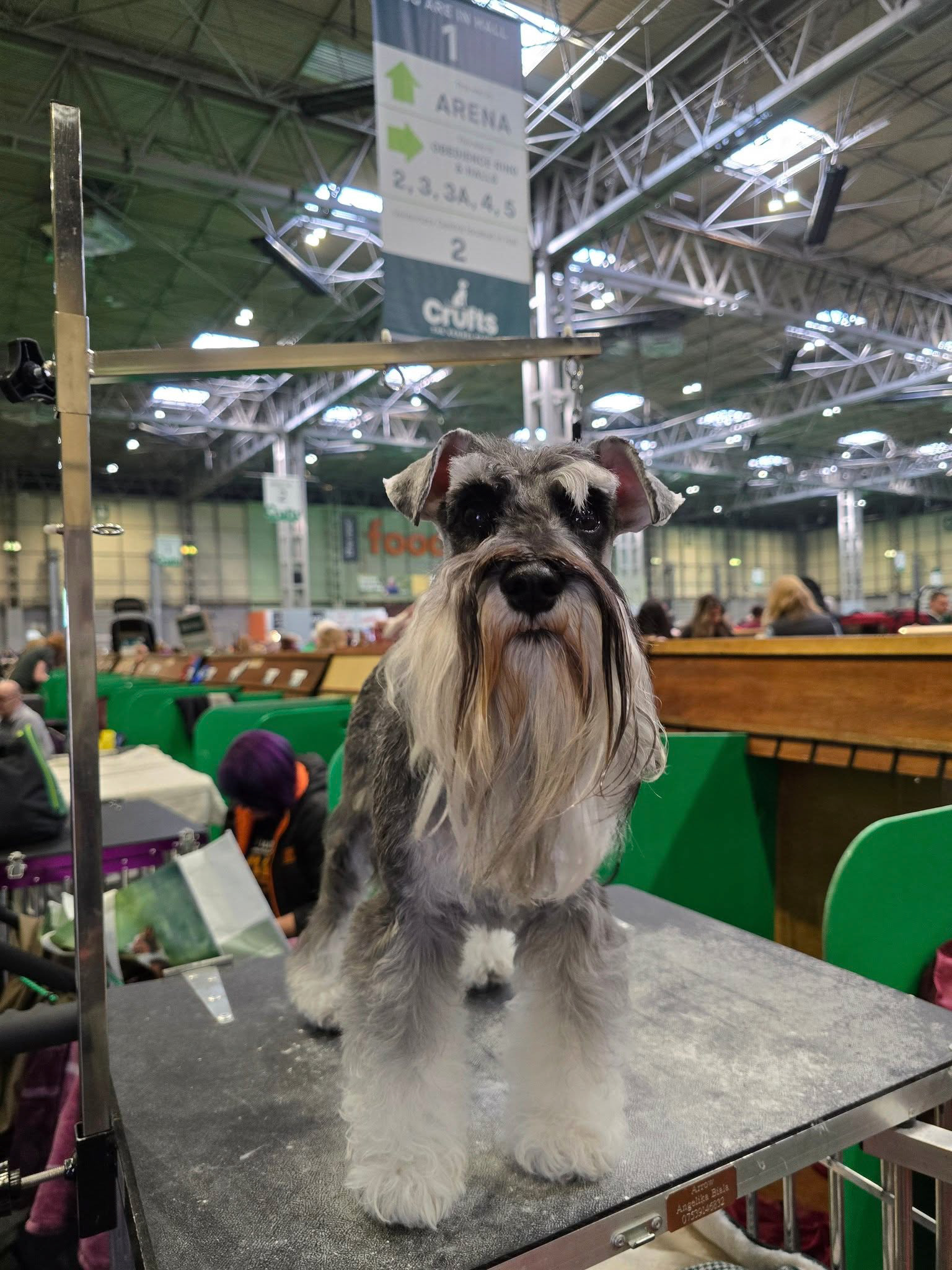 Crufts 2024