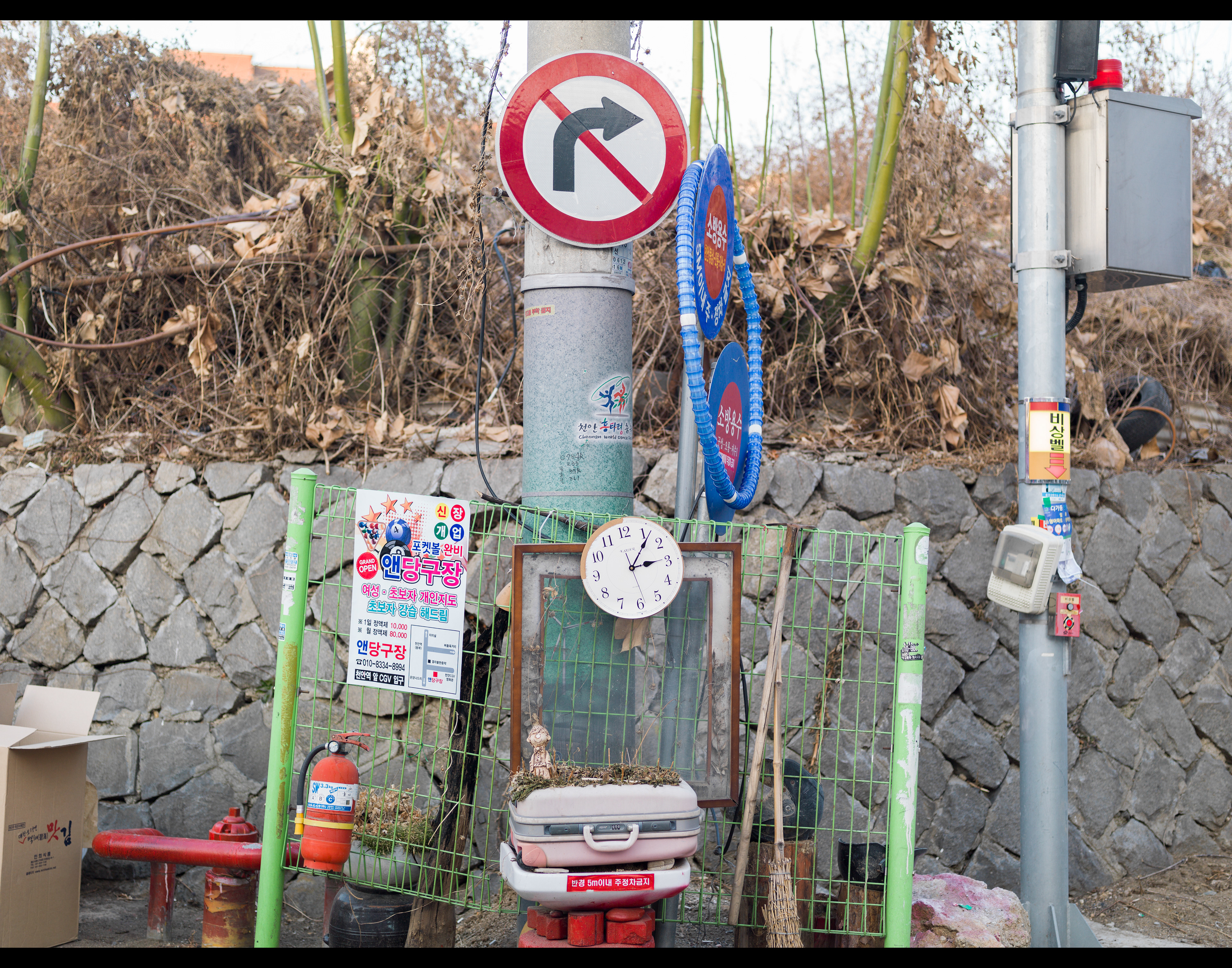 대흥동 명동길 초입