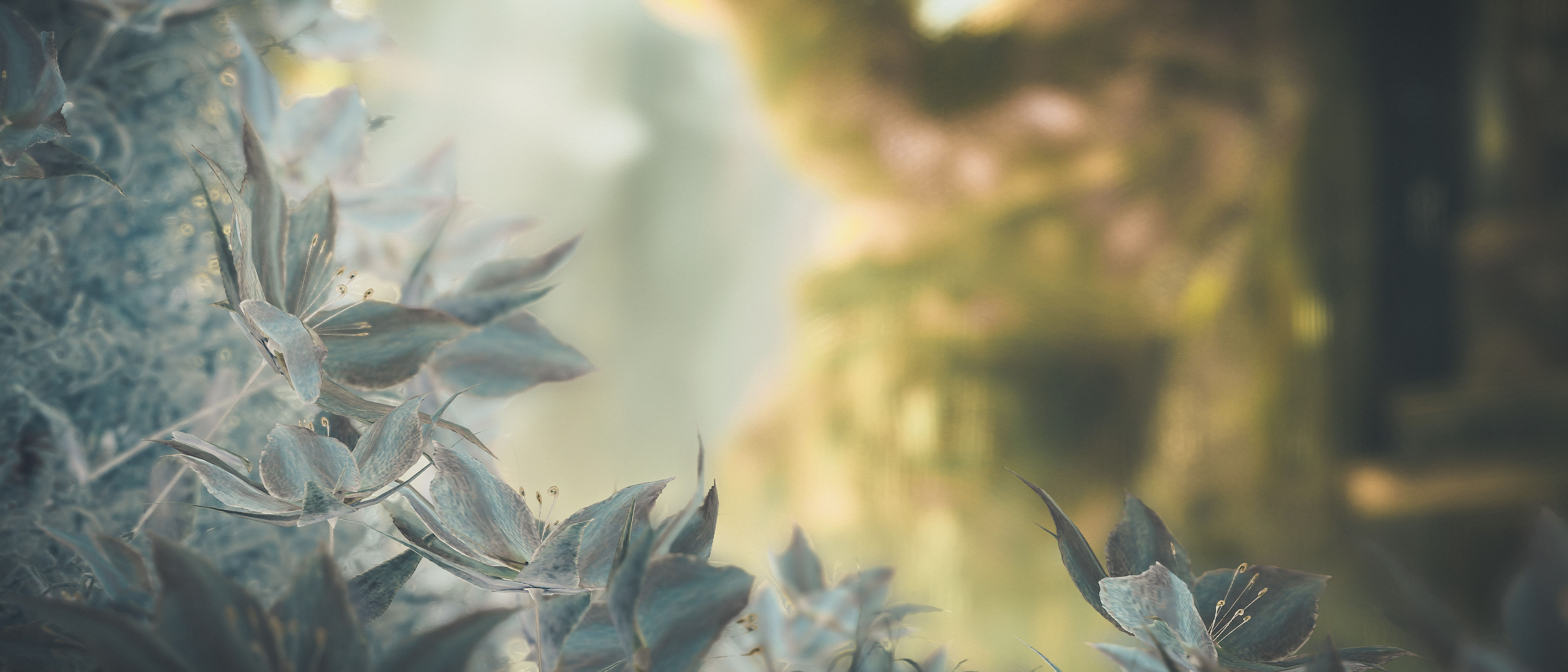 God of War (PS4 Pro)