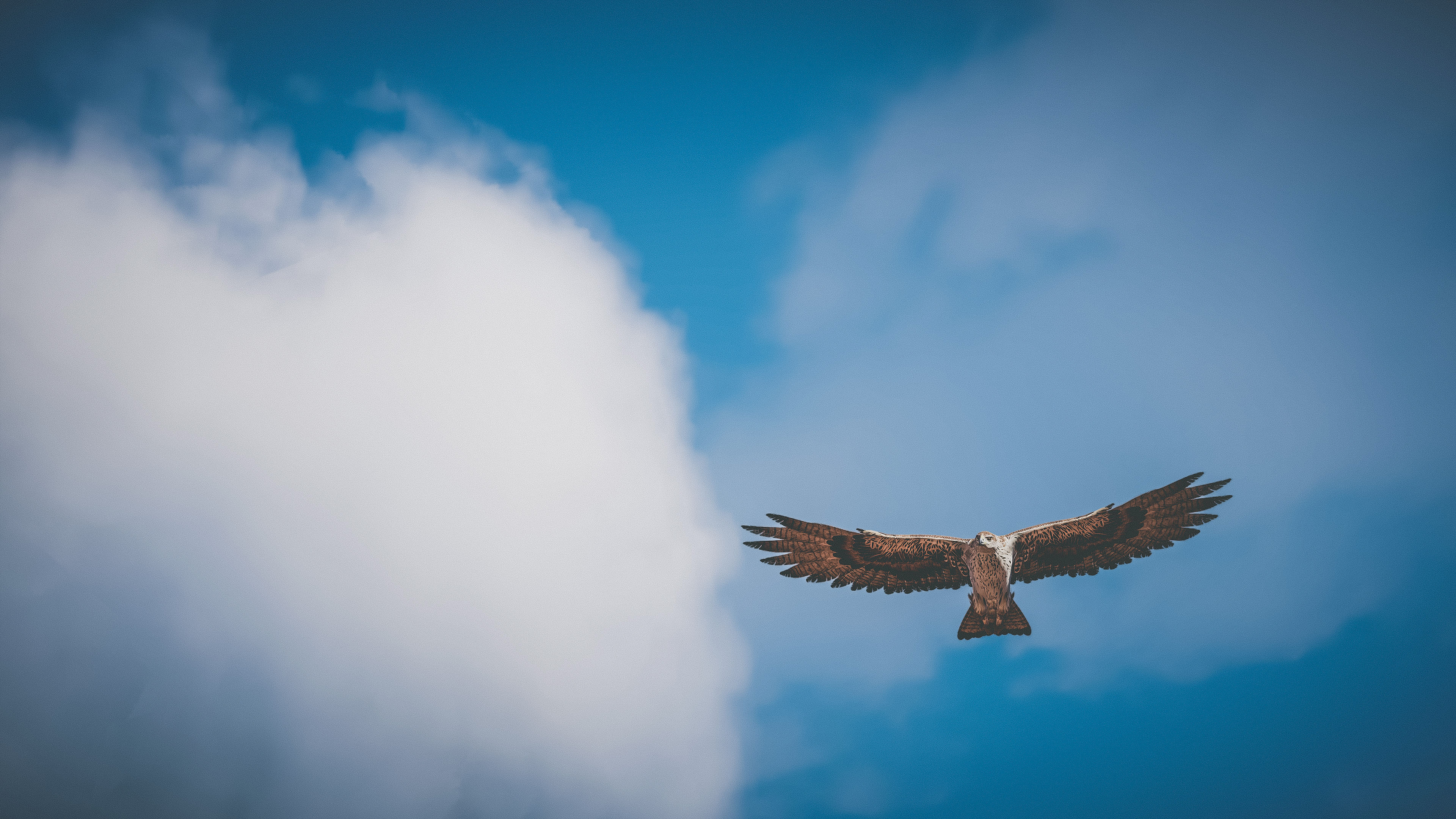 Assassin's Creed: Origins