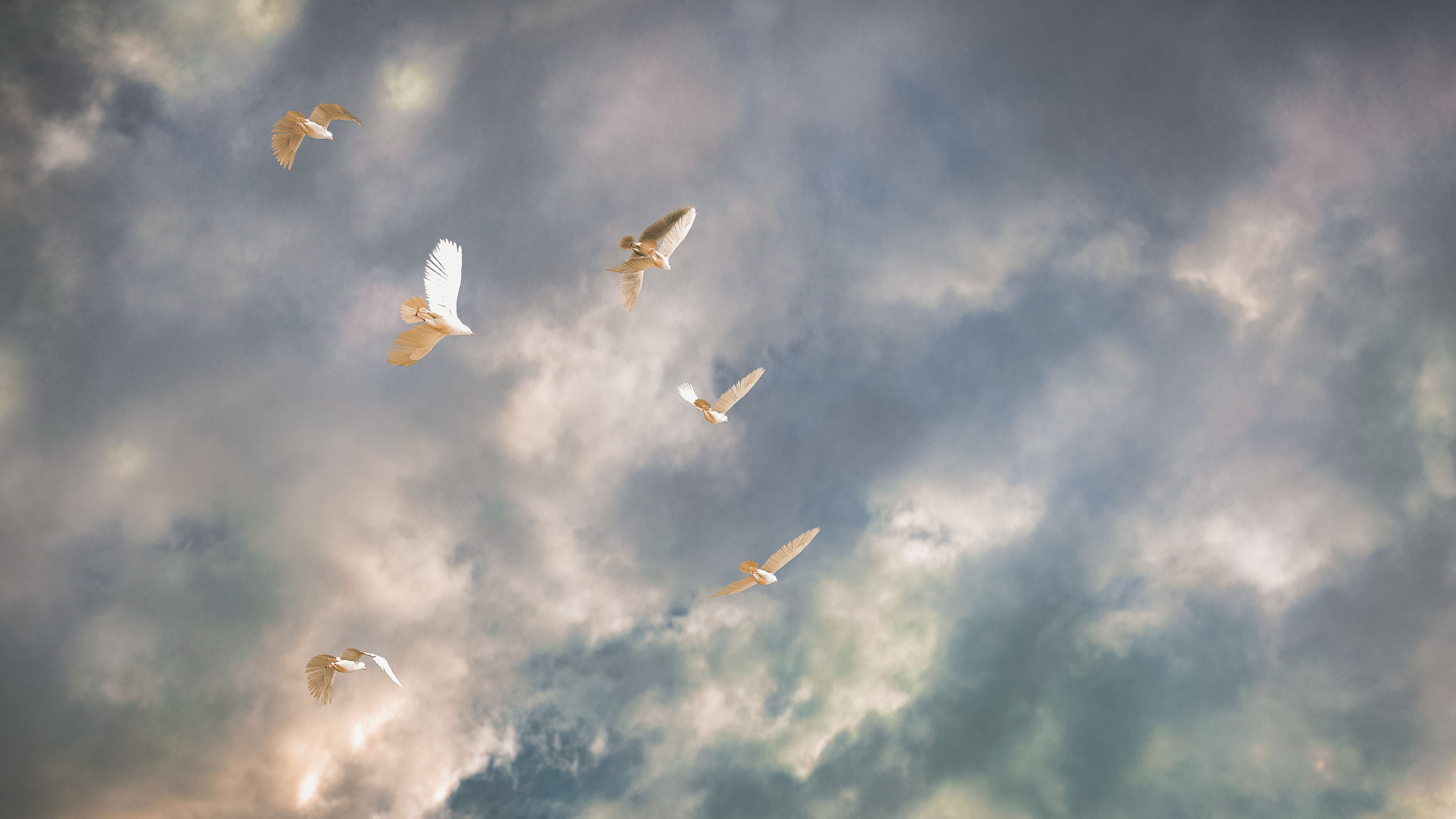 Shadow of the Colossus (PS4 Pro)