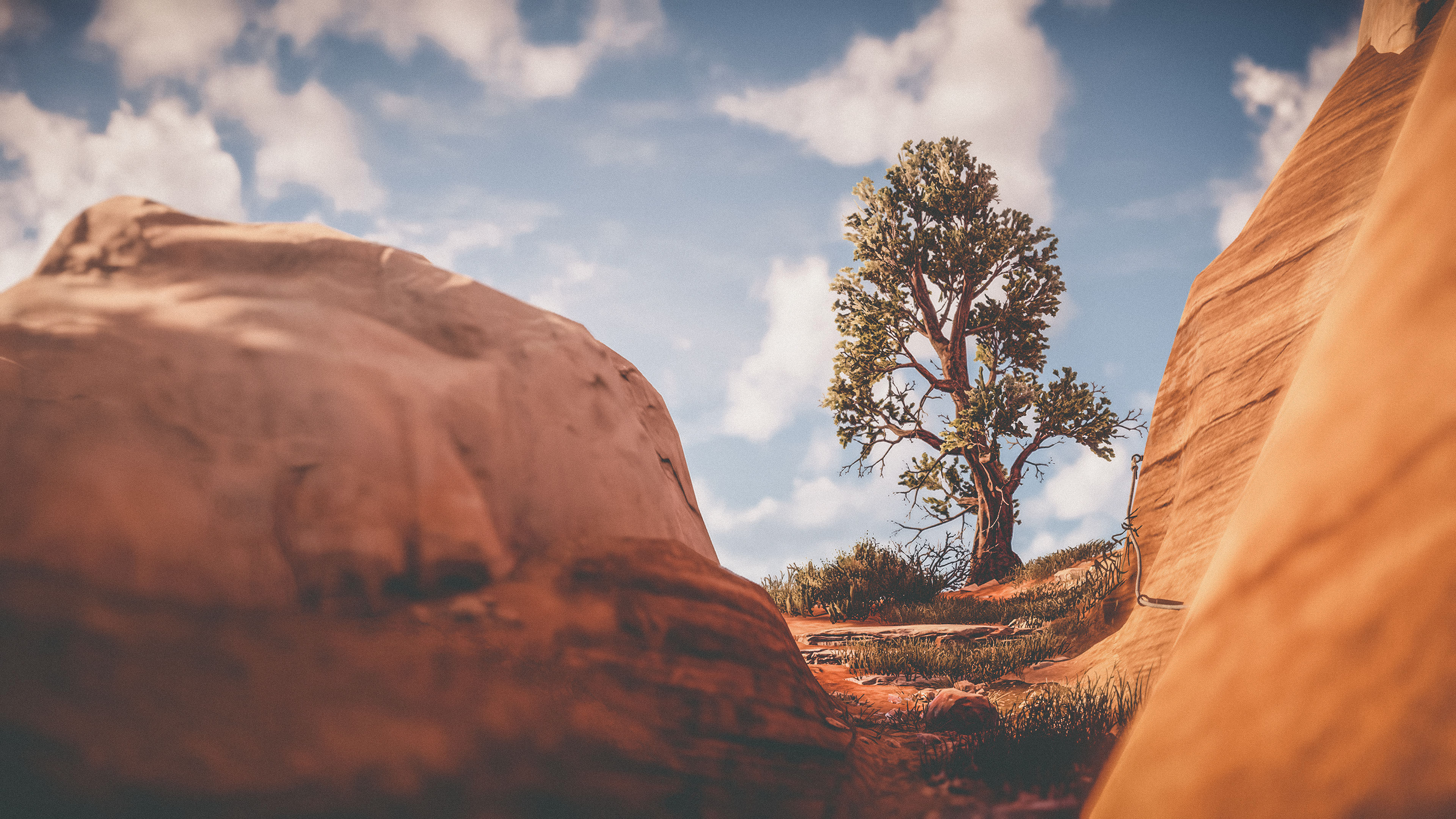 Horizon Zero Dawn (PS4 Pro)