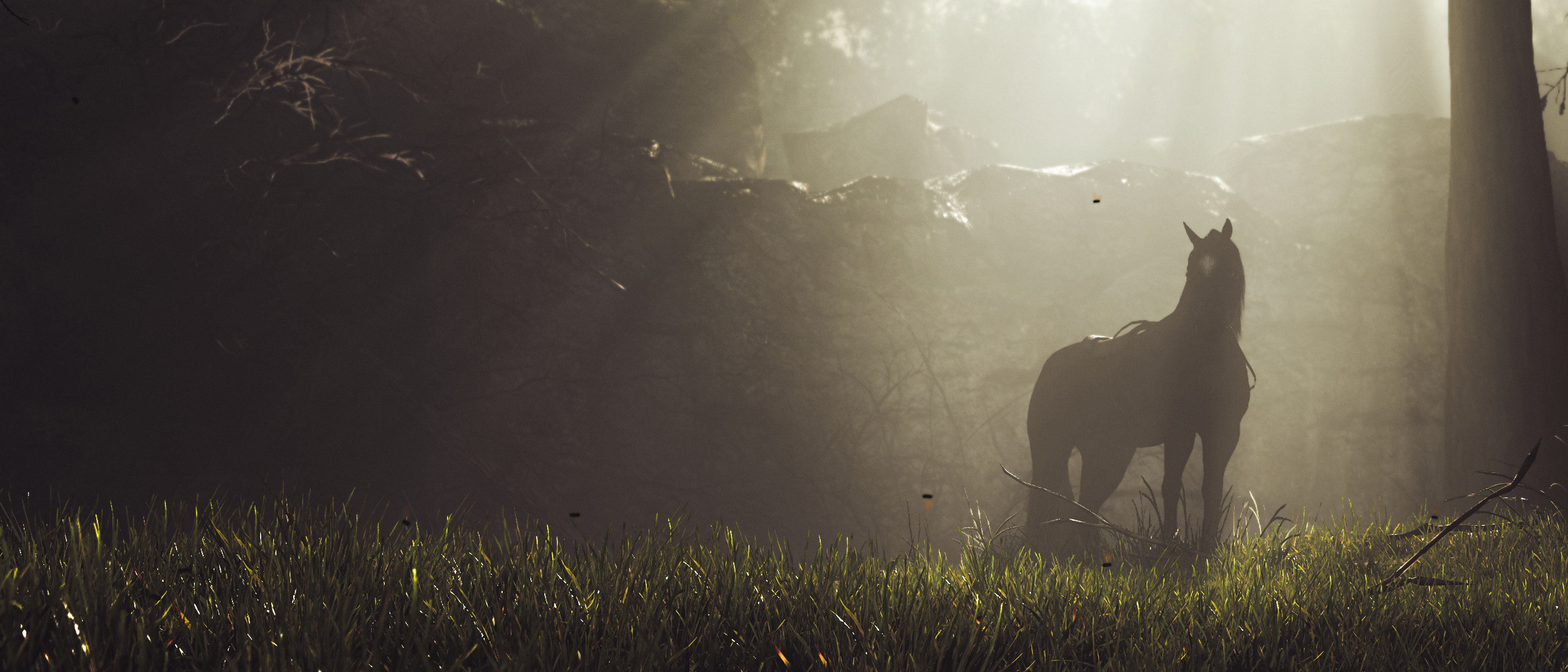 Shadow of the Colossus (PS4 Pro)