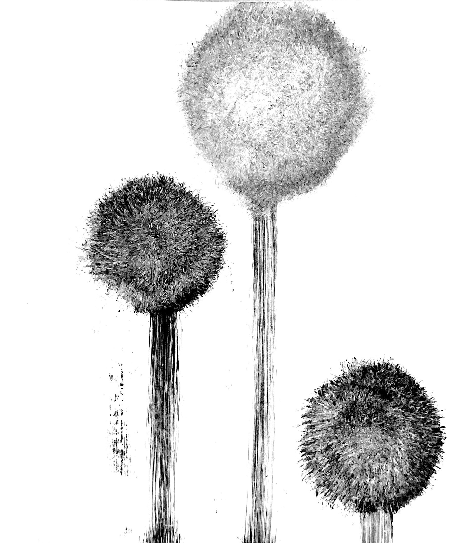 Additive Monotype