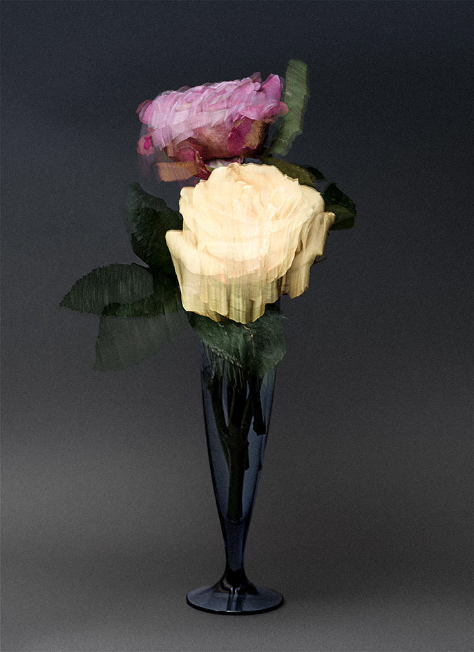 Roses dans un verre de champagne / Hommage à Édouard Manet