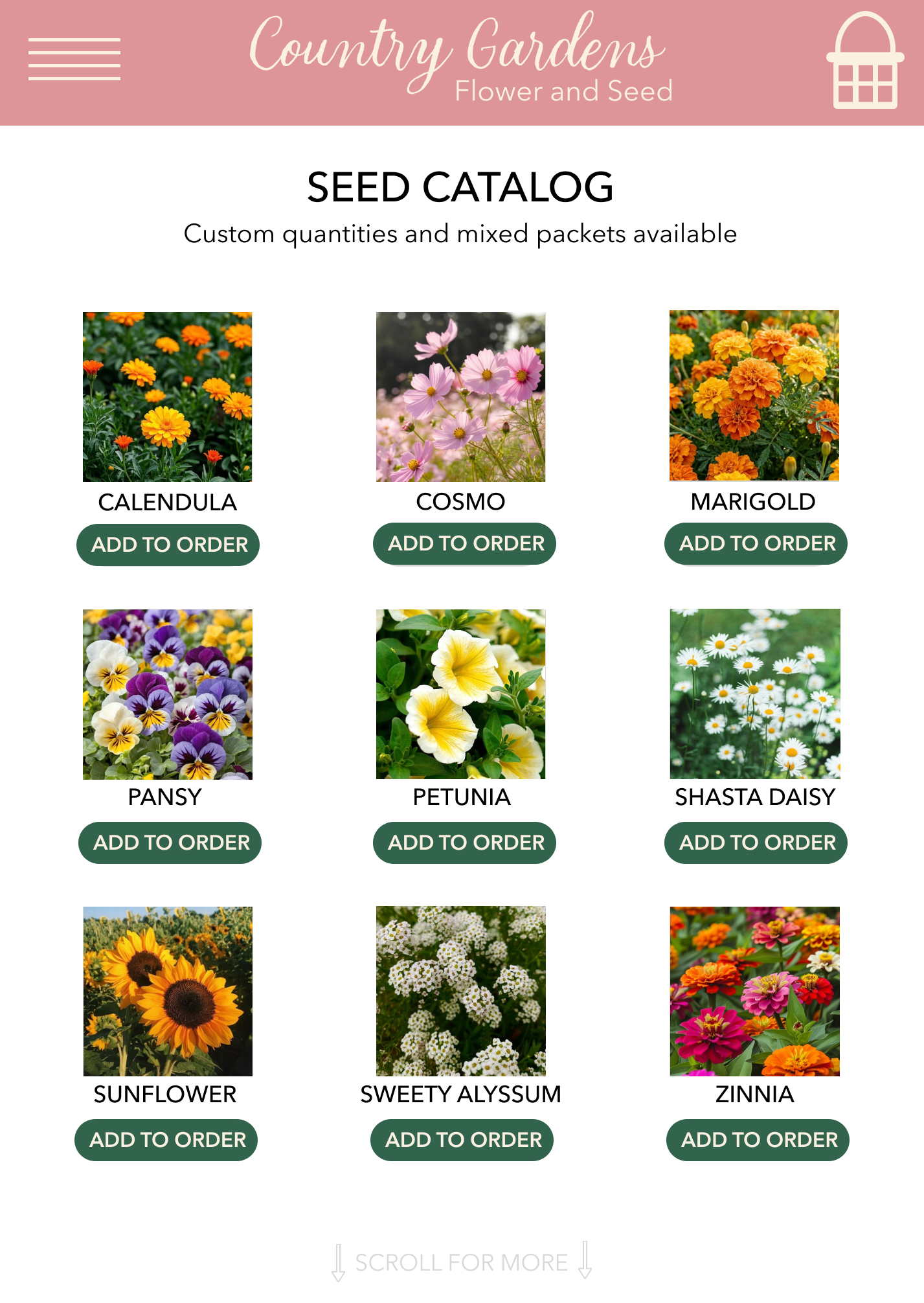 Online seed shop mocked up with Figma