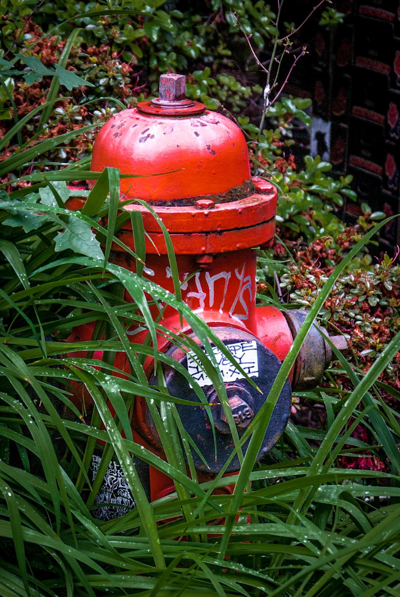 Fire Hydrant #15