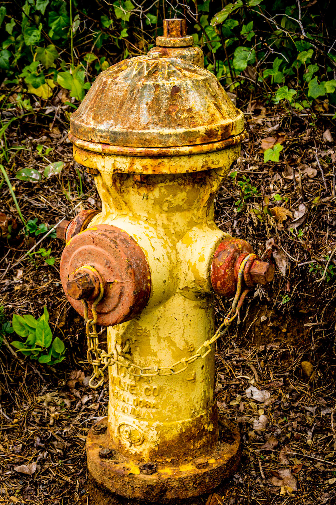Fire Hydrant #19
