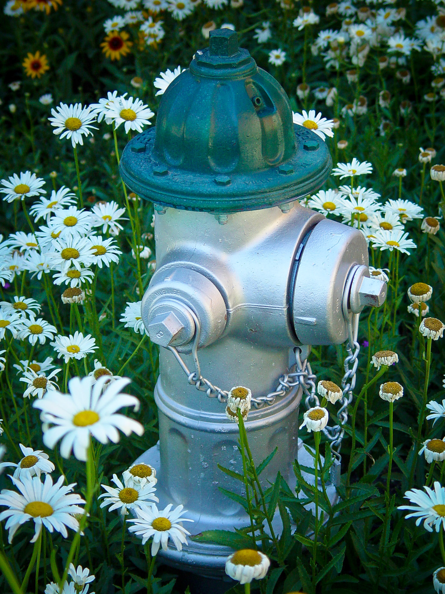 Fire Hydrant #3