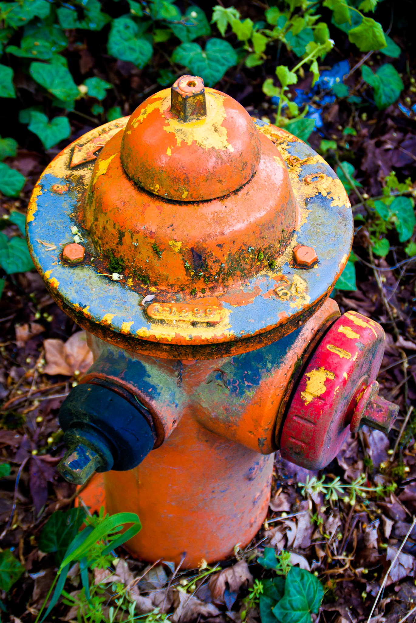 Fire Hydrant #9