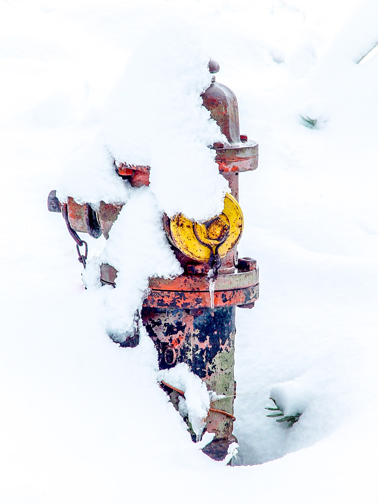 Fire Hydrant #6