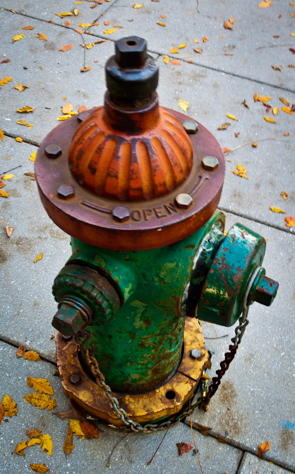 Fire Hydrant #11
