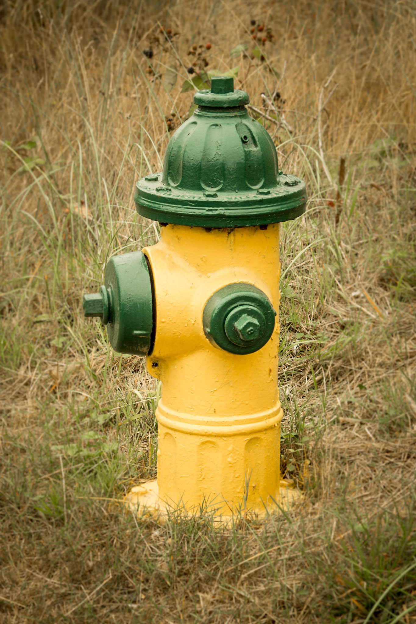 Fire Hydrant #18
