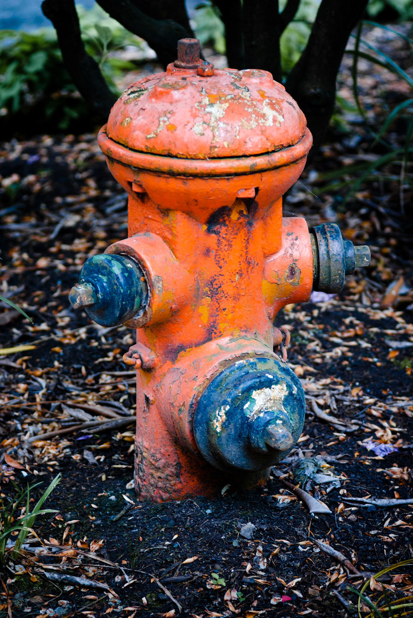 Fire Hydrant #17