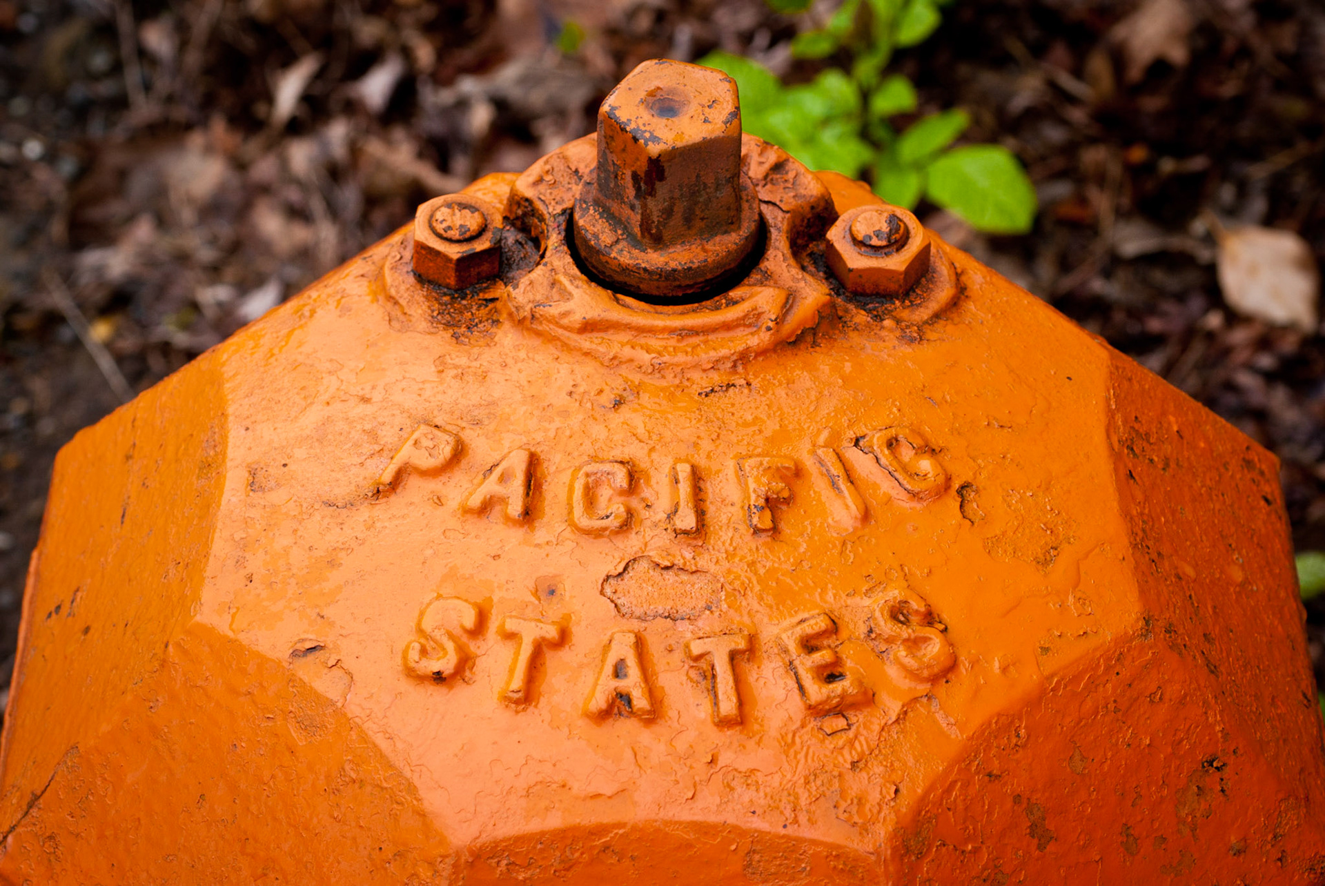 Fire Hydrant #7