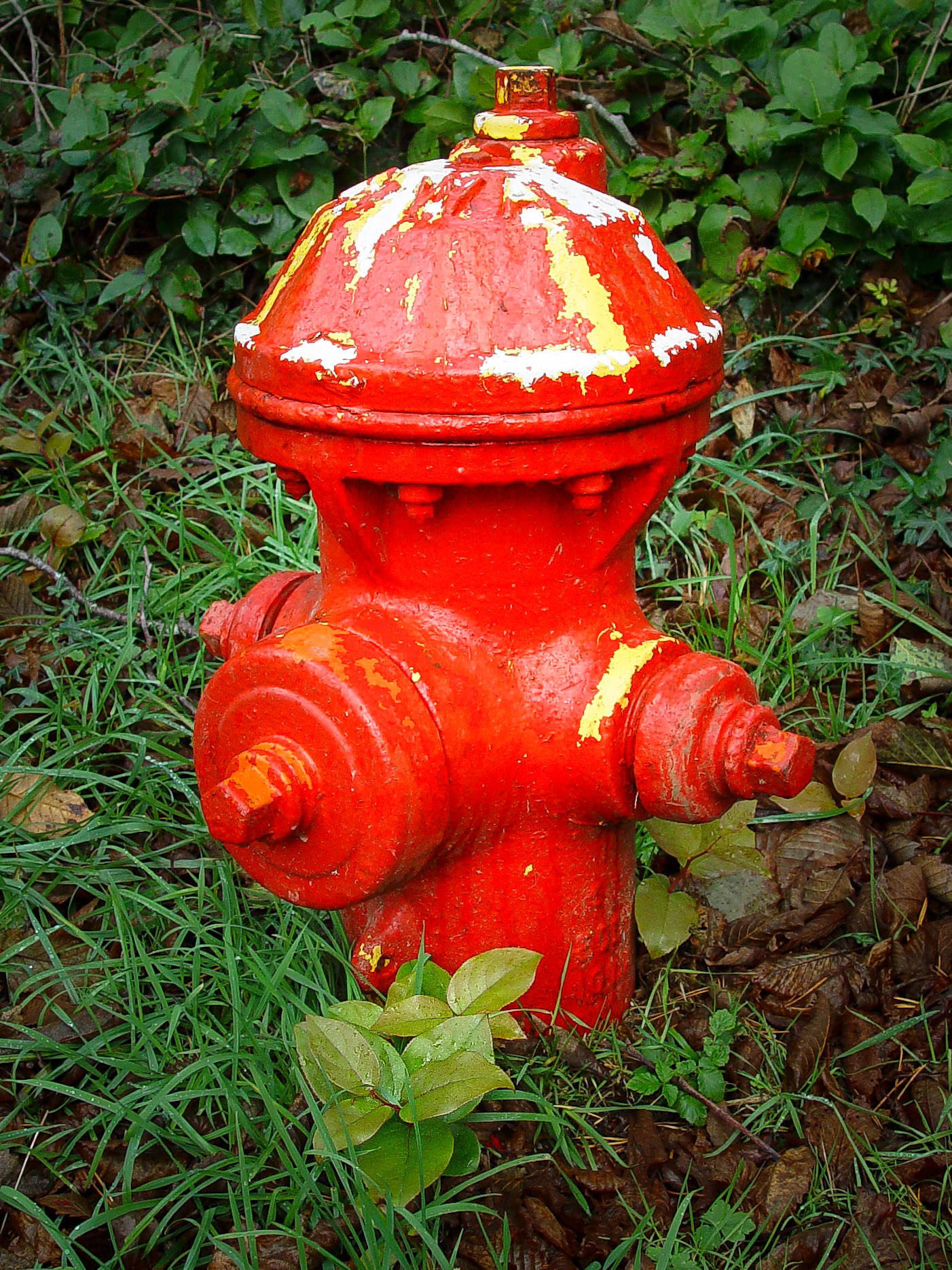 Fire Hydrant #2